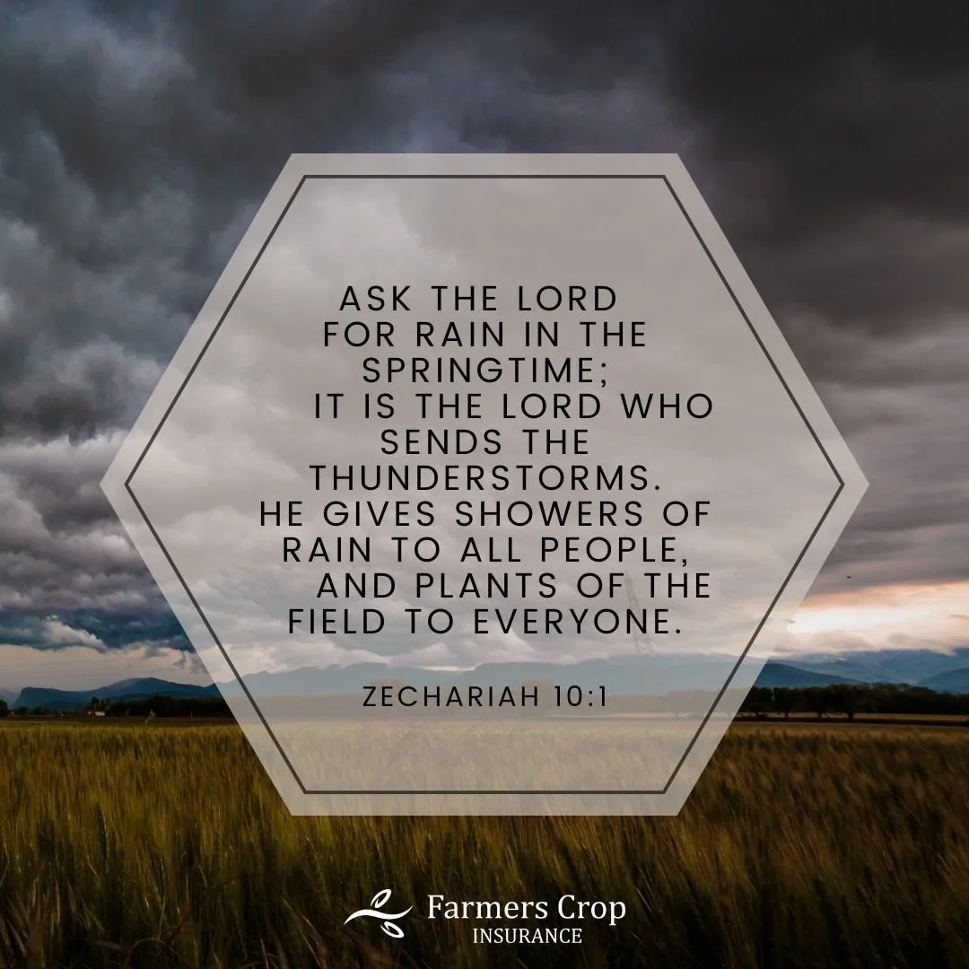 Ask the Lord for rain in the springtime; it is the Lord who sends the thunderstorms. He gives showers of rain to all people and plants of the field to everyone. 

Zechariah 10:1