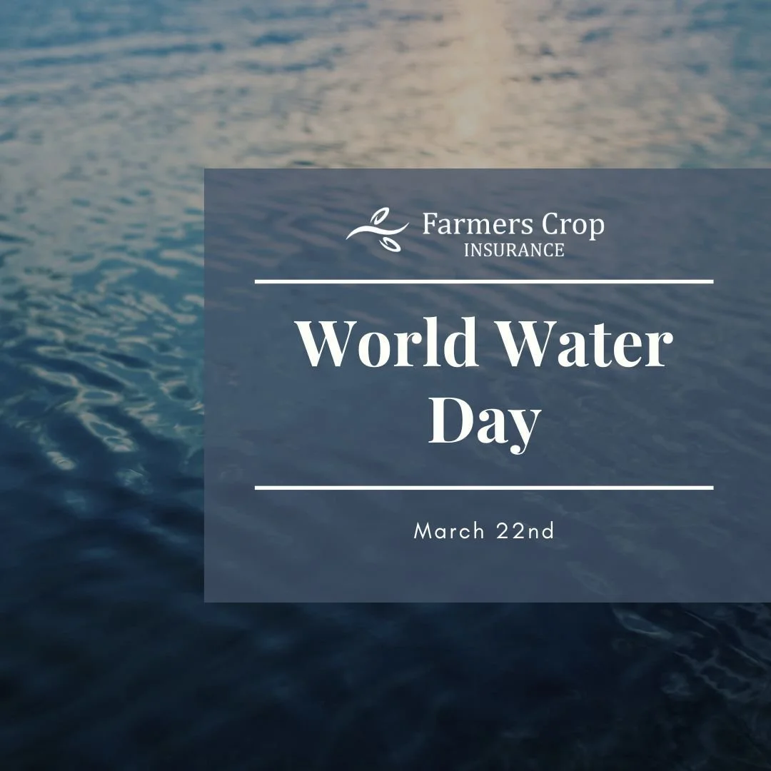 World Water Day is a United Nations initiative that emphasizes the importance of freshwater resources. 

Agriculture is one of the top consumer of fresh water, so it's critical that our producers engage in the conversation around this critical resour