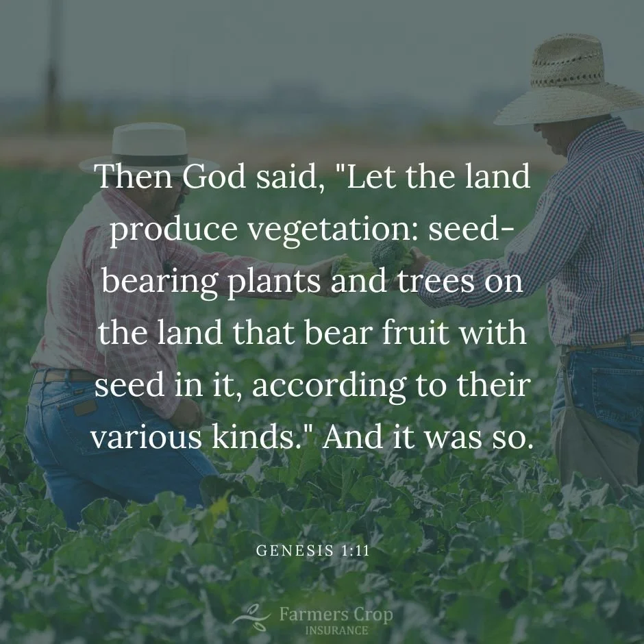 The God said, "Let the land produce vegetation: seed-bearing plants and trees on the land that bear fruit with seed in it, according to their various kinds." And it was so. 

Genesis 1:11