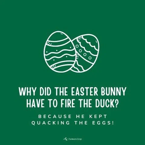 Why did the Easter Bunny fire the duck???

Because he kept quacking the eggs!!!