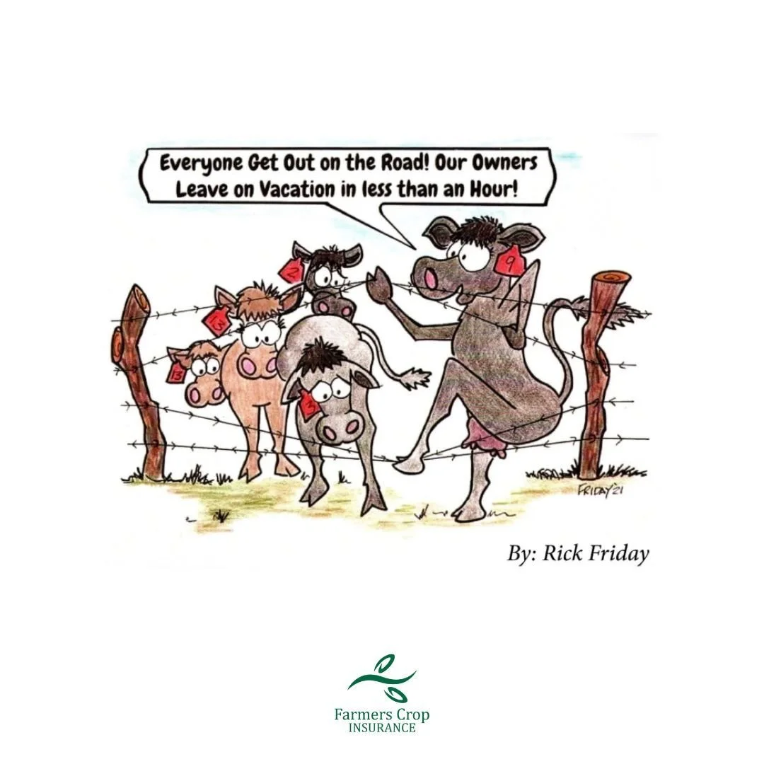 So they really do conspire to get out when we're leaving town!