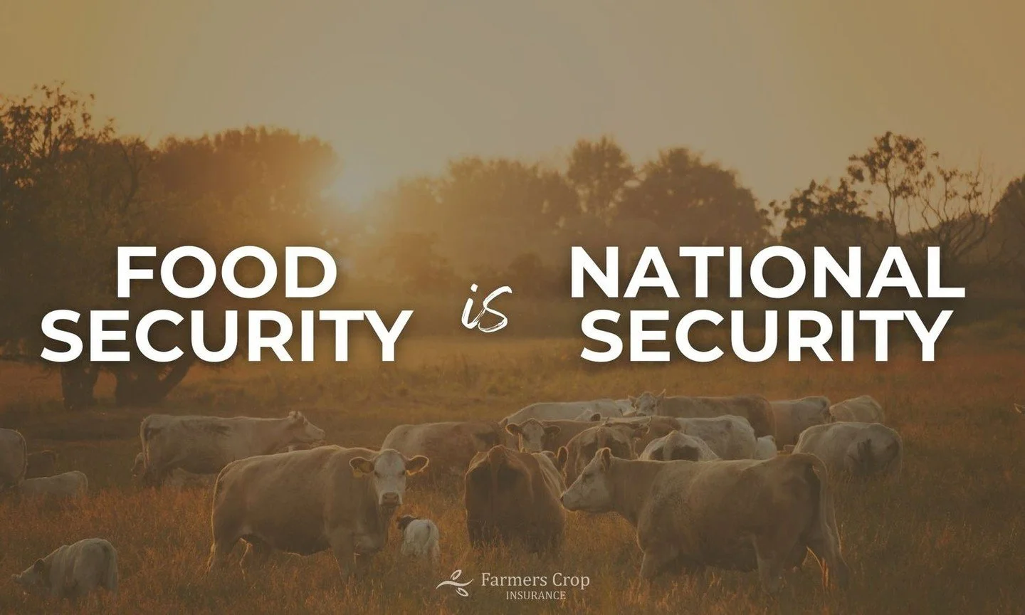 &ldquo;Agriculture is national security, period. A nation that cannot feed itself, cannot defend itself, and I&rsquo;m excited to work together with Sec. Rollins and Sec. Hegseth to champion policies that will strengthen US farm security and protect 