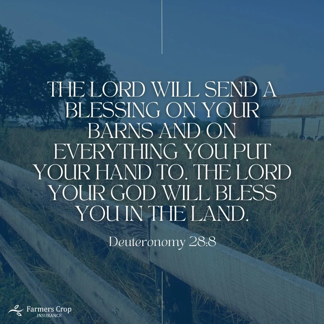 The Lord will send a blessing on your barns and on everything you put your hand to. The Lord your God will bless you in the land. 

Deuteronomy 28:8
