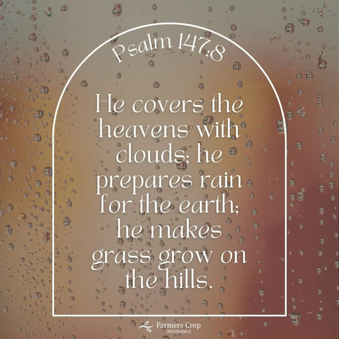 He covers the heavens with clouds; he prepares rain for the earth; he makes grass grow on the hills. 

Psalm 147:8