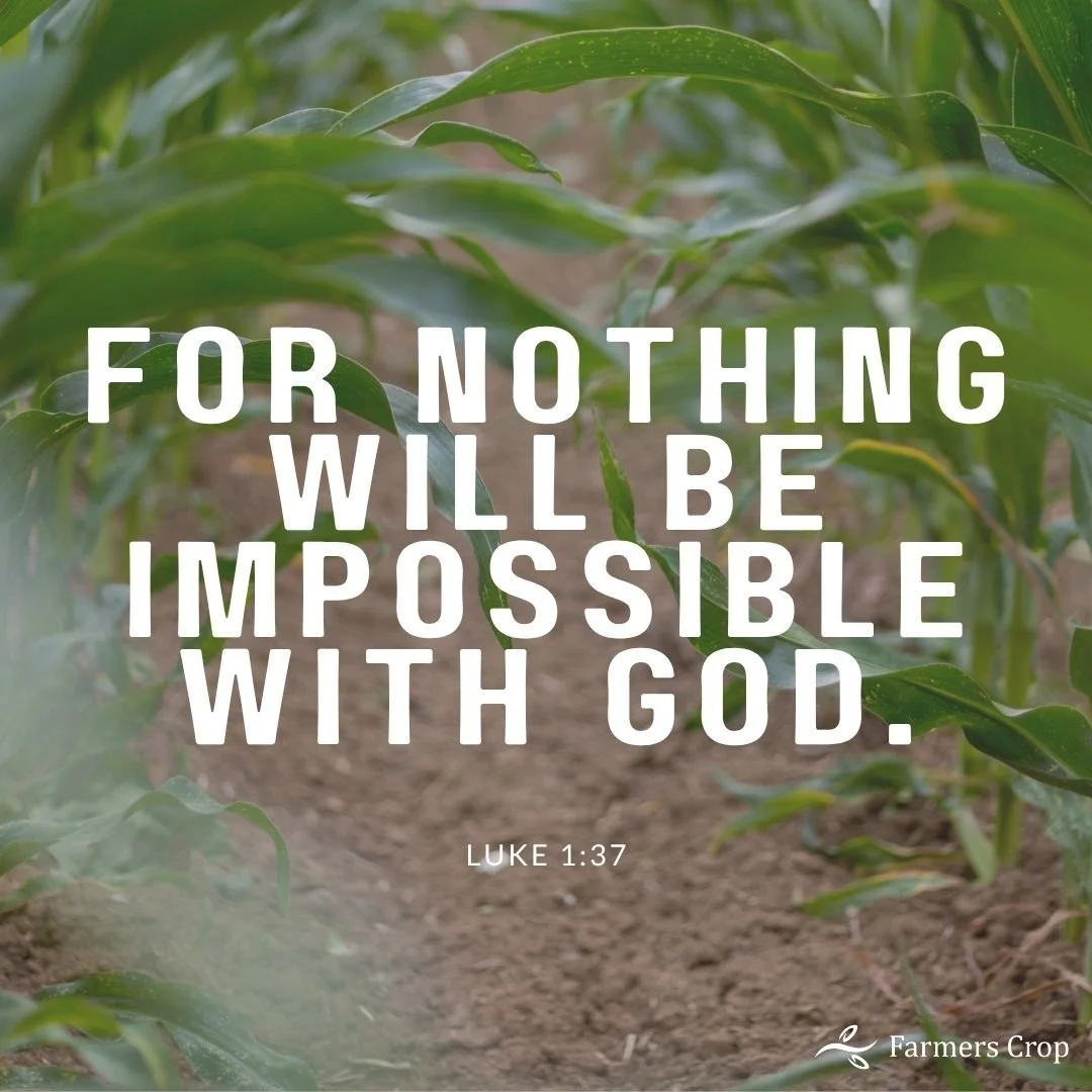 For nothing will be impossible with God. 

Luke 1:37