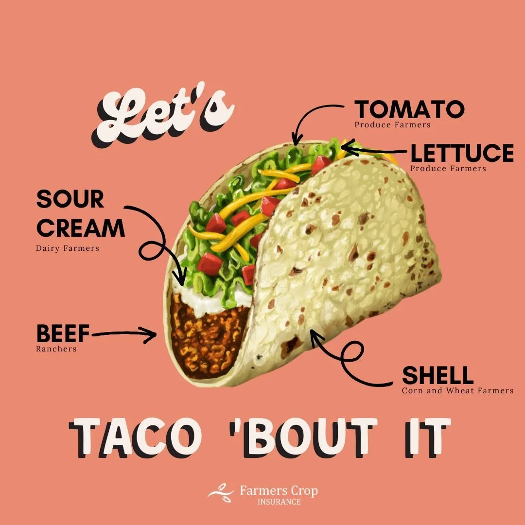It's not Cinco de Mayo without a taco or two, and there would be no tacos if it weren't for Texas Farmers!