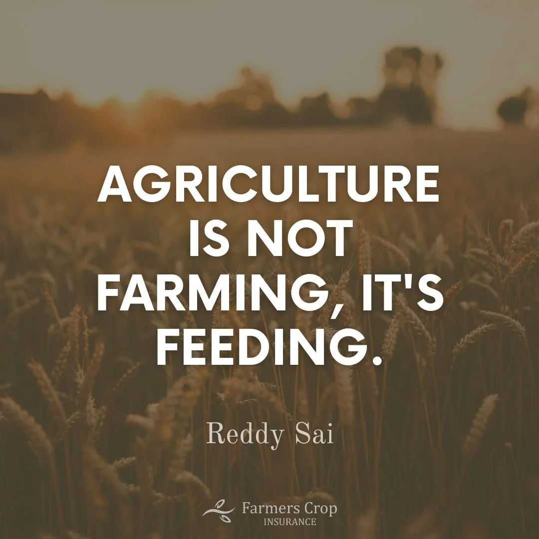 Thank you agricultural producers for feeding America!