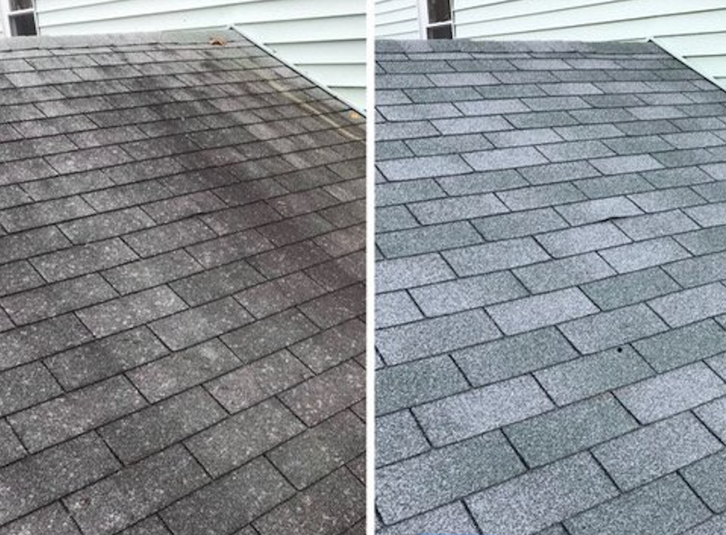 Roof Cleaning