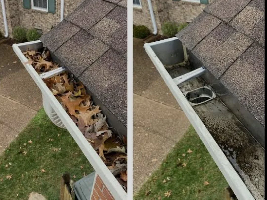Gutter Cleaning