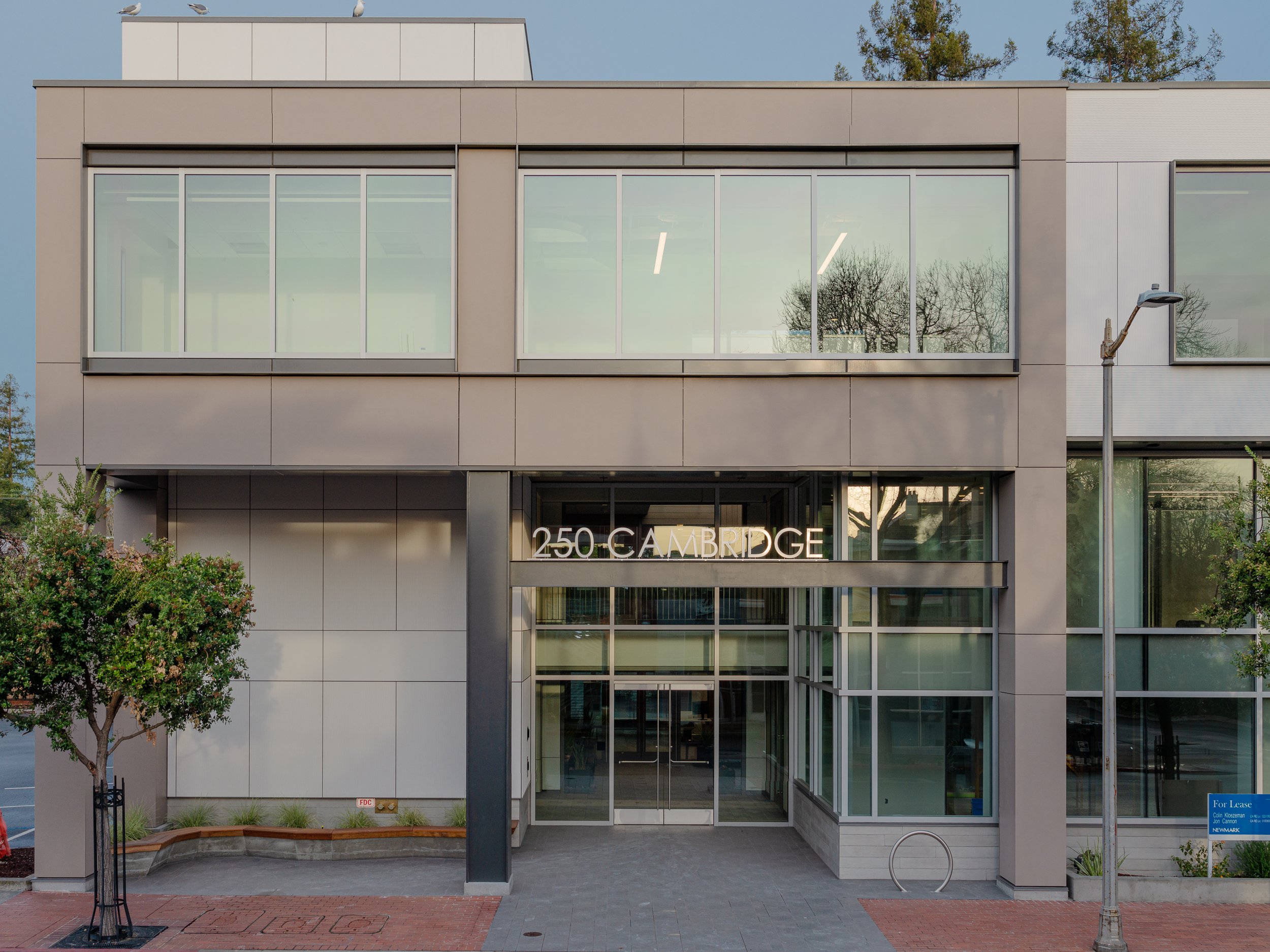 250 Cambridge Avenue