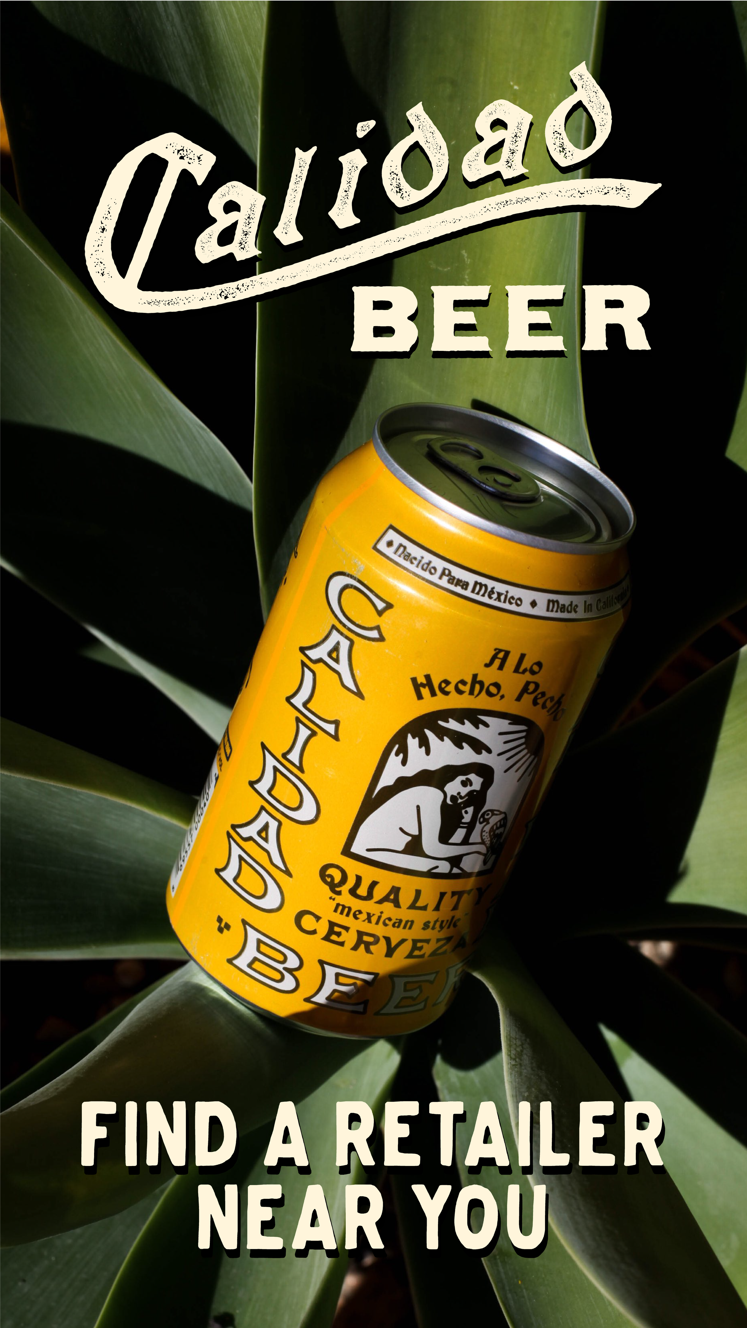 A yellow canned beer with black and white branding, placed on green plant leaves, with text saying 'Calidad Beer' and an illustration of a person holding a bottle.