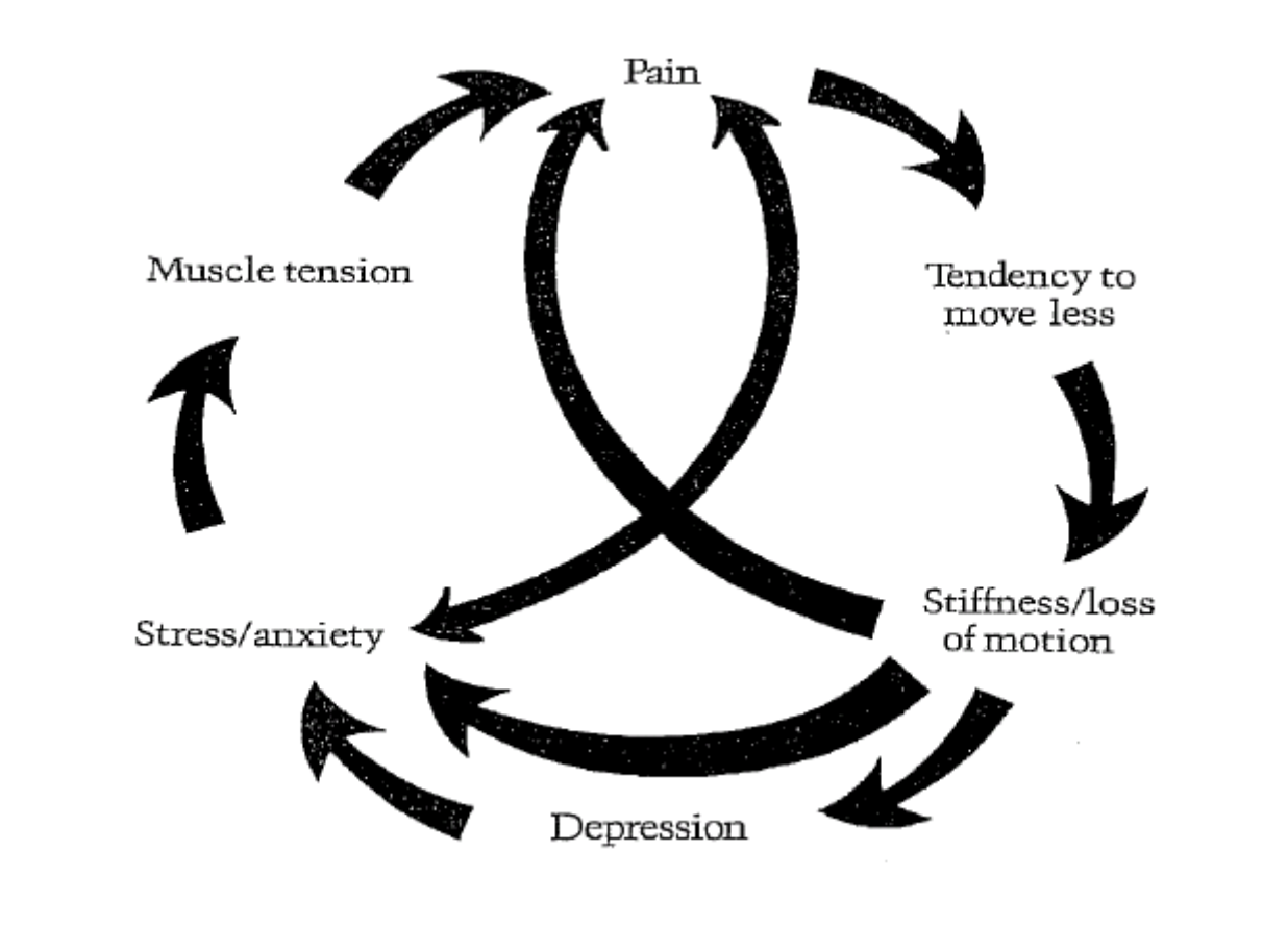 Pain Stress Mood Graded Exposure Treatment For Chronic Pain pain-stress-mood-graded-exposure-treatment-for-chronic-pain