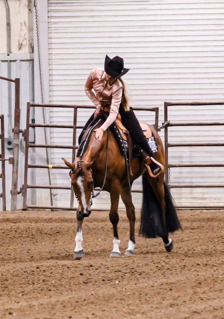 Shows And Events Saskatchewan Quarter Horse Association Shows and events saskatchewan quarter horse association