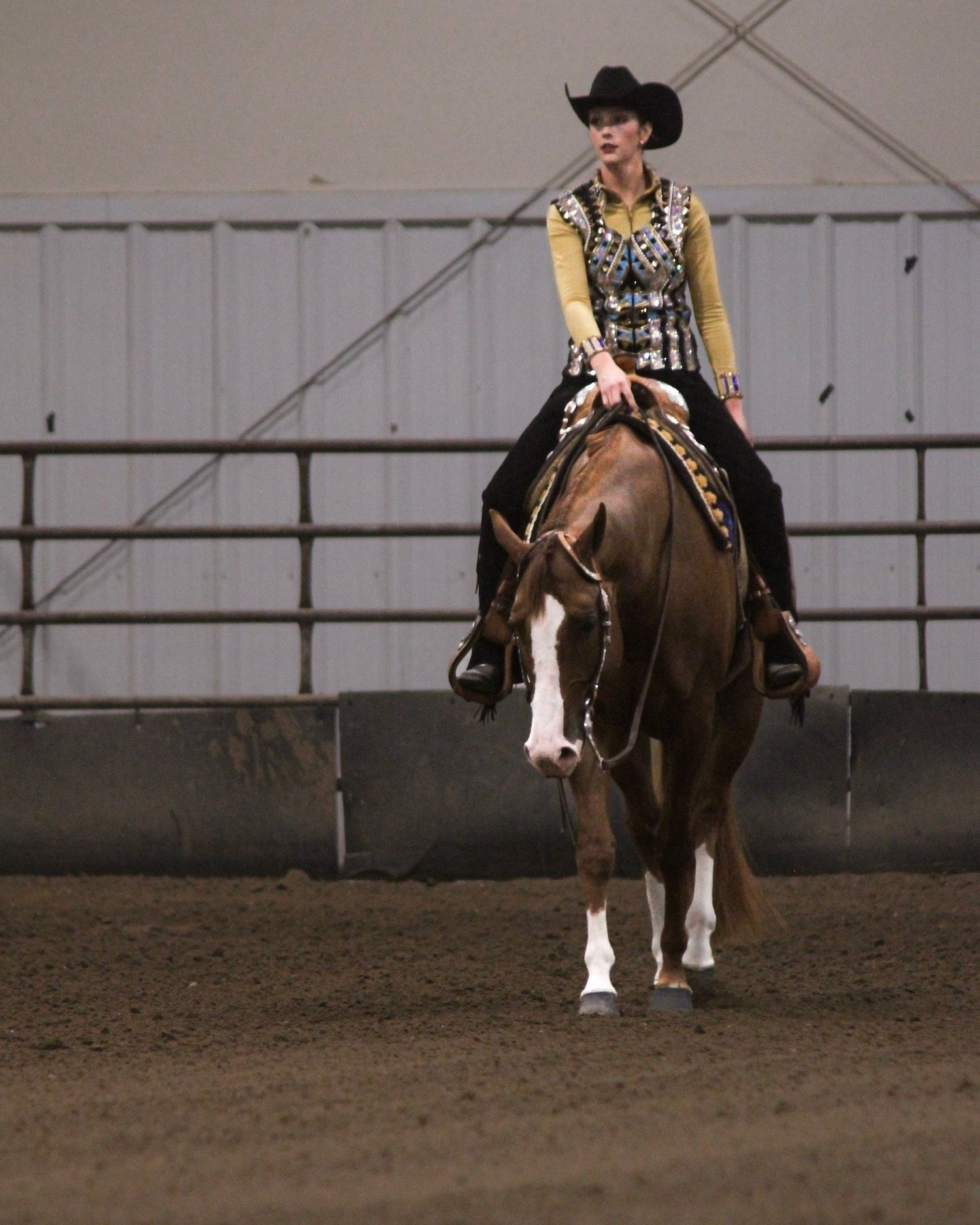 Shows And Events Saskatchewan Quarter Horse Association Shows and events saskatchewan quarter horse association