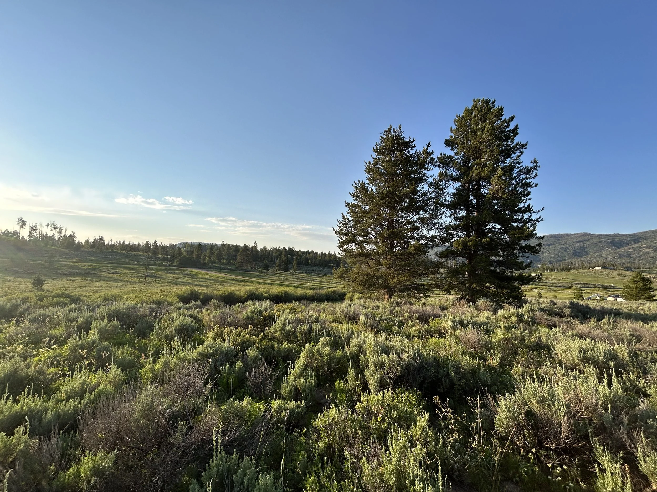 20965 Hoch Eye Way   
  $75,000   