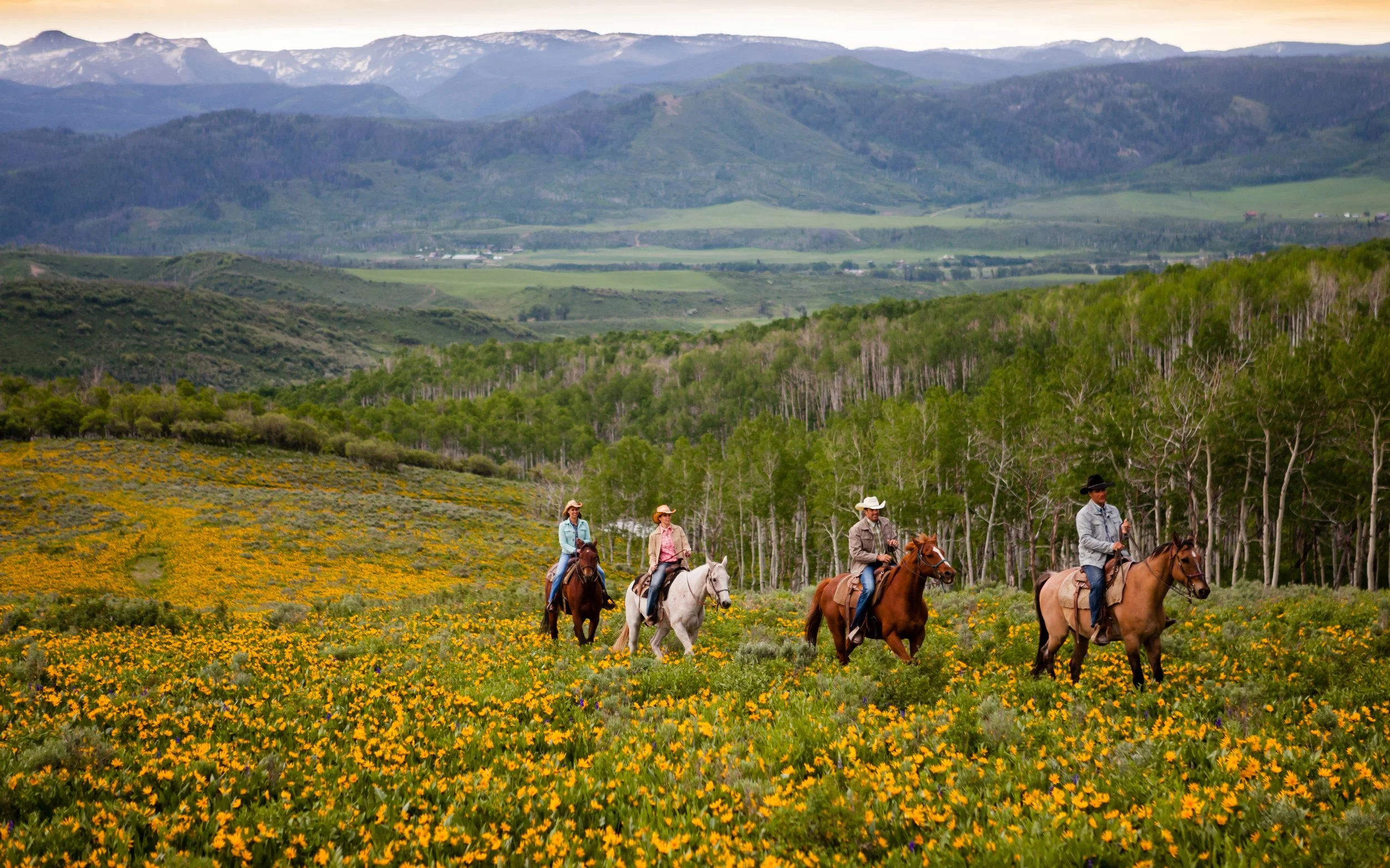 Four people riding horses through a field of yellow wildflowers with green trees and mountains in the background.