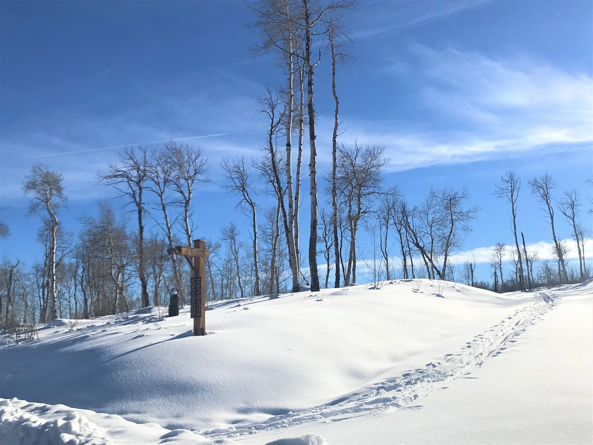Snow-covered landscape with leafless trees under a clear blue sky, and a small wooden signpost.