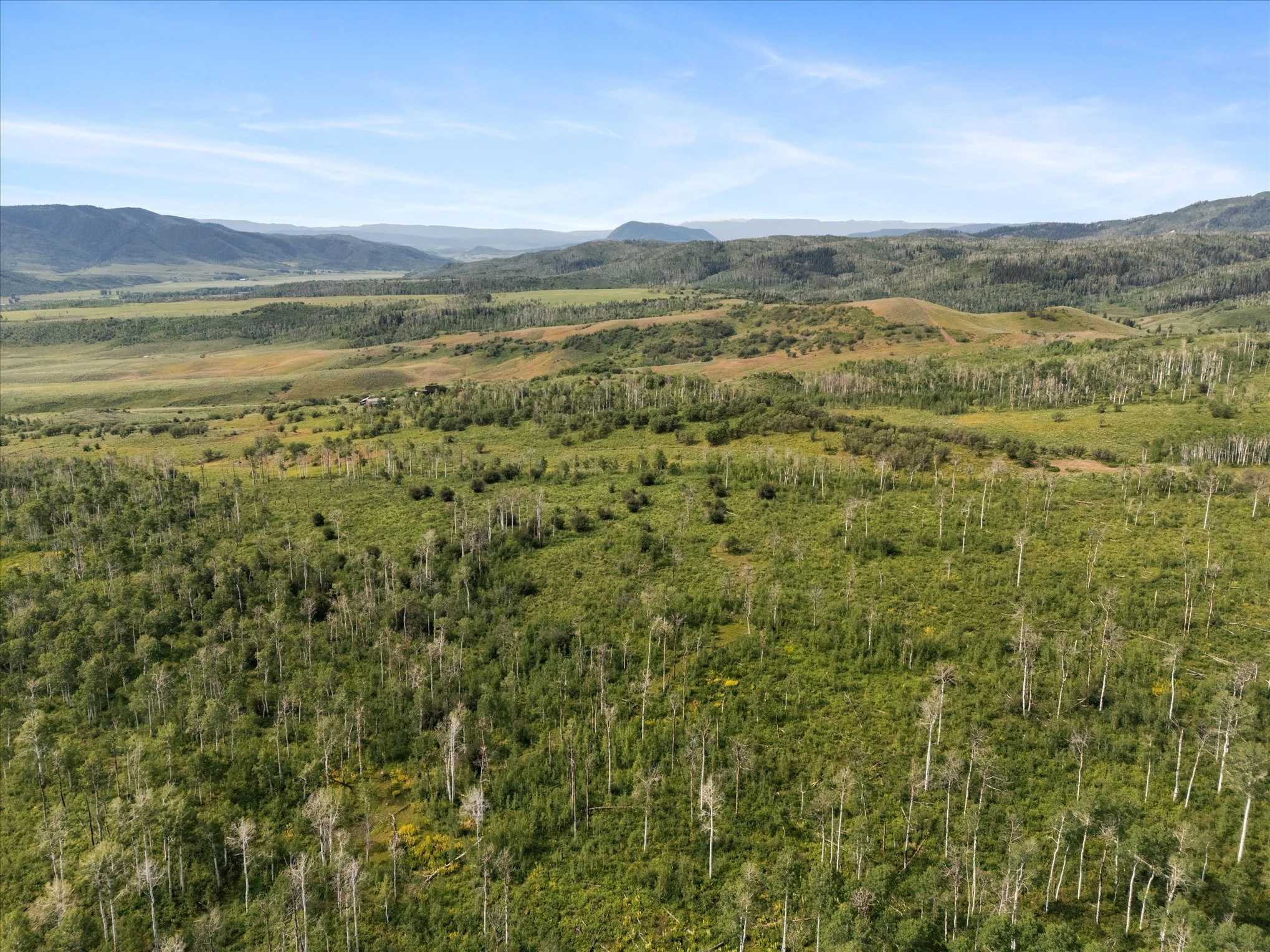 Aerial view of a green landscape with rolling hills, trees, and distant mountains under a clear blue sky.