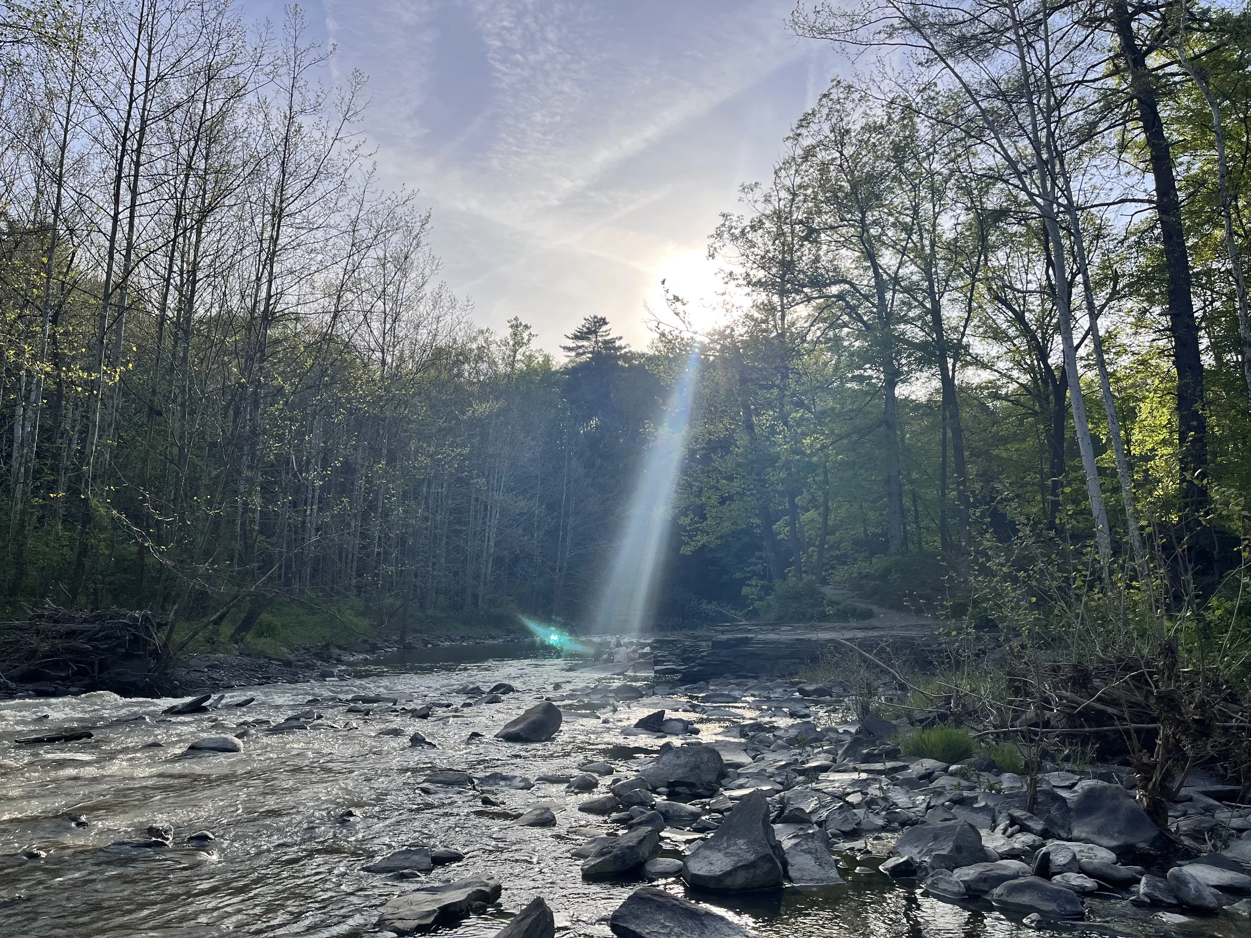 Six Mile Creek Natural Area, Ithaca, NY; 2023