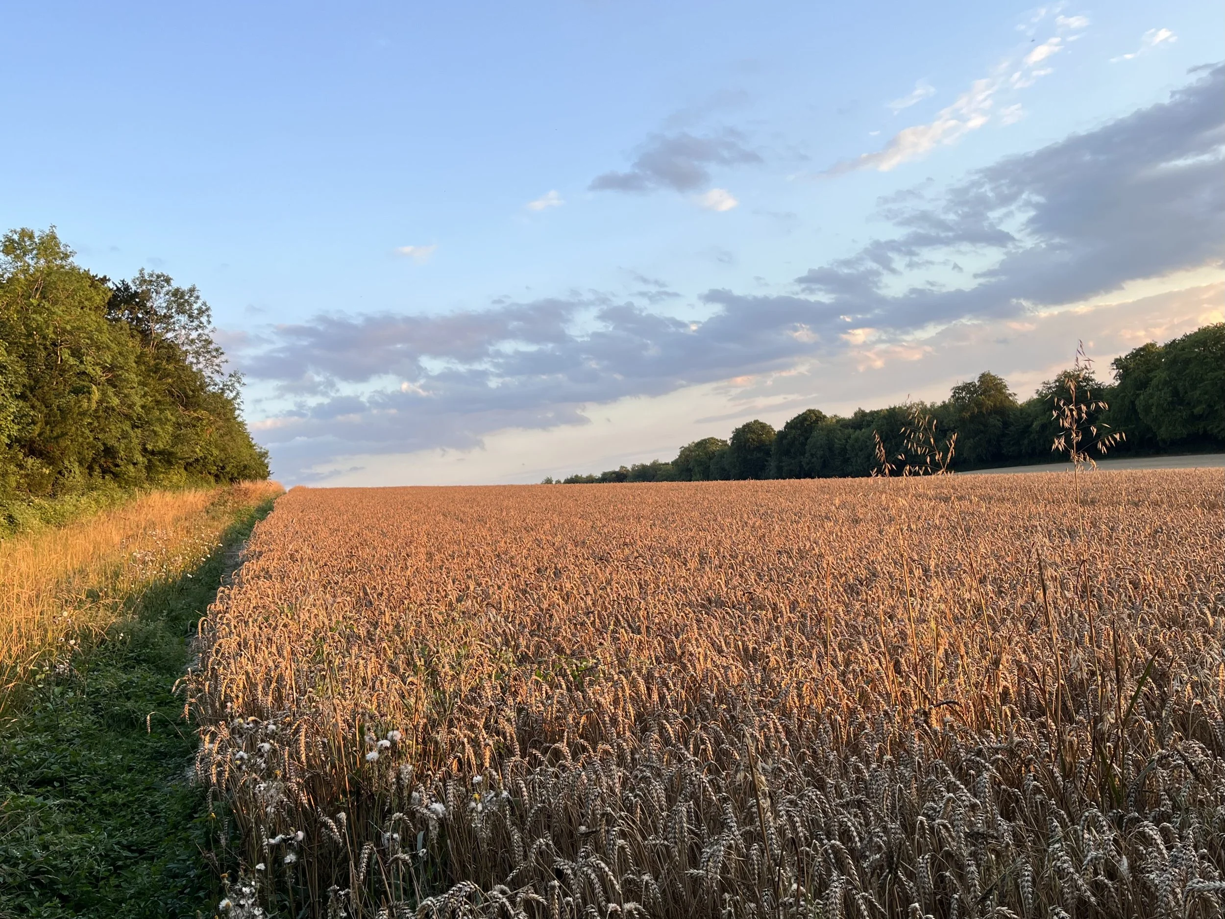 Shoreham, UK; 2025