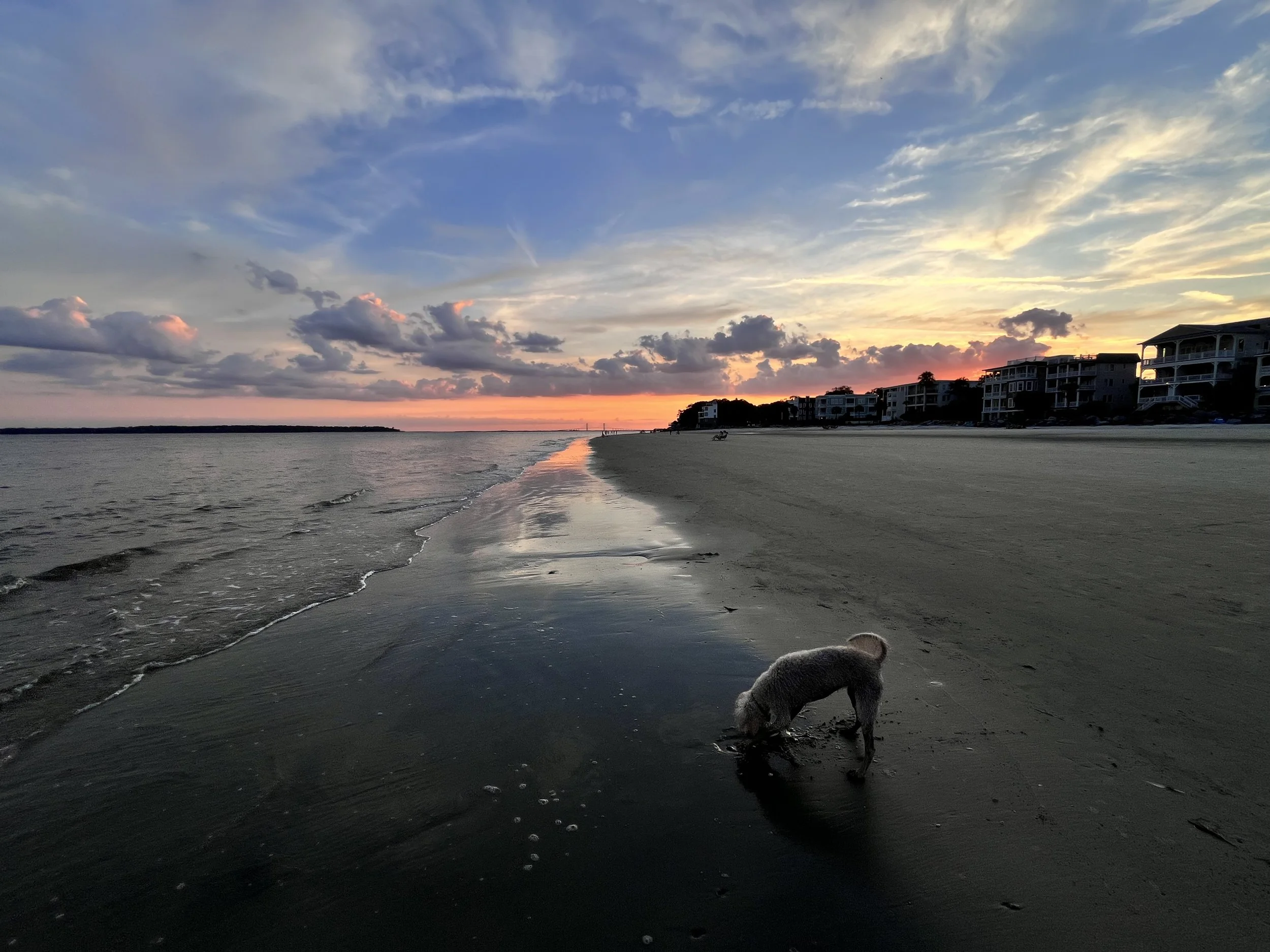 Saint Simons Island, GA; 2024