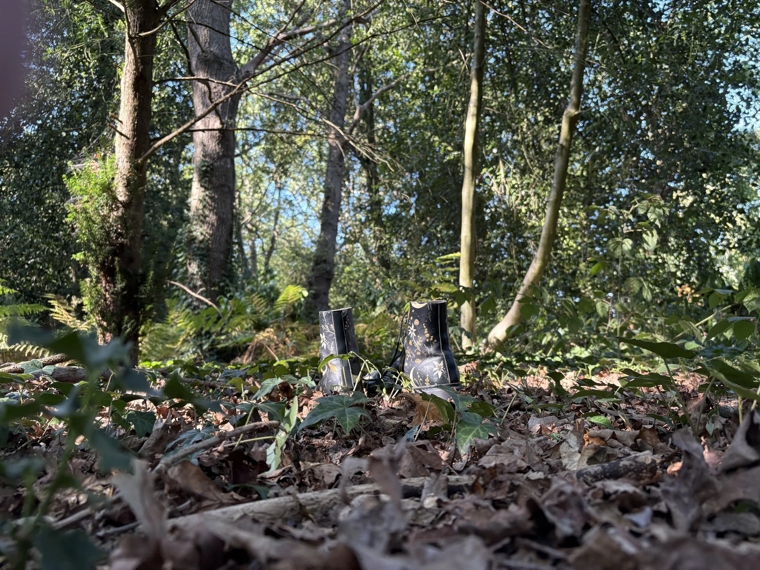 Chislehurst Common, UK; 2025