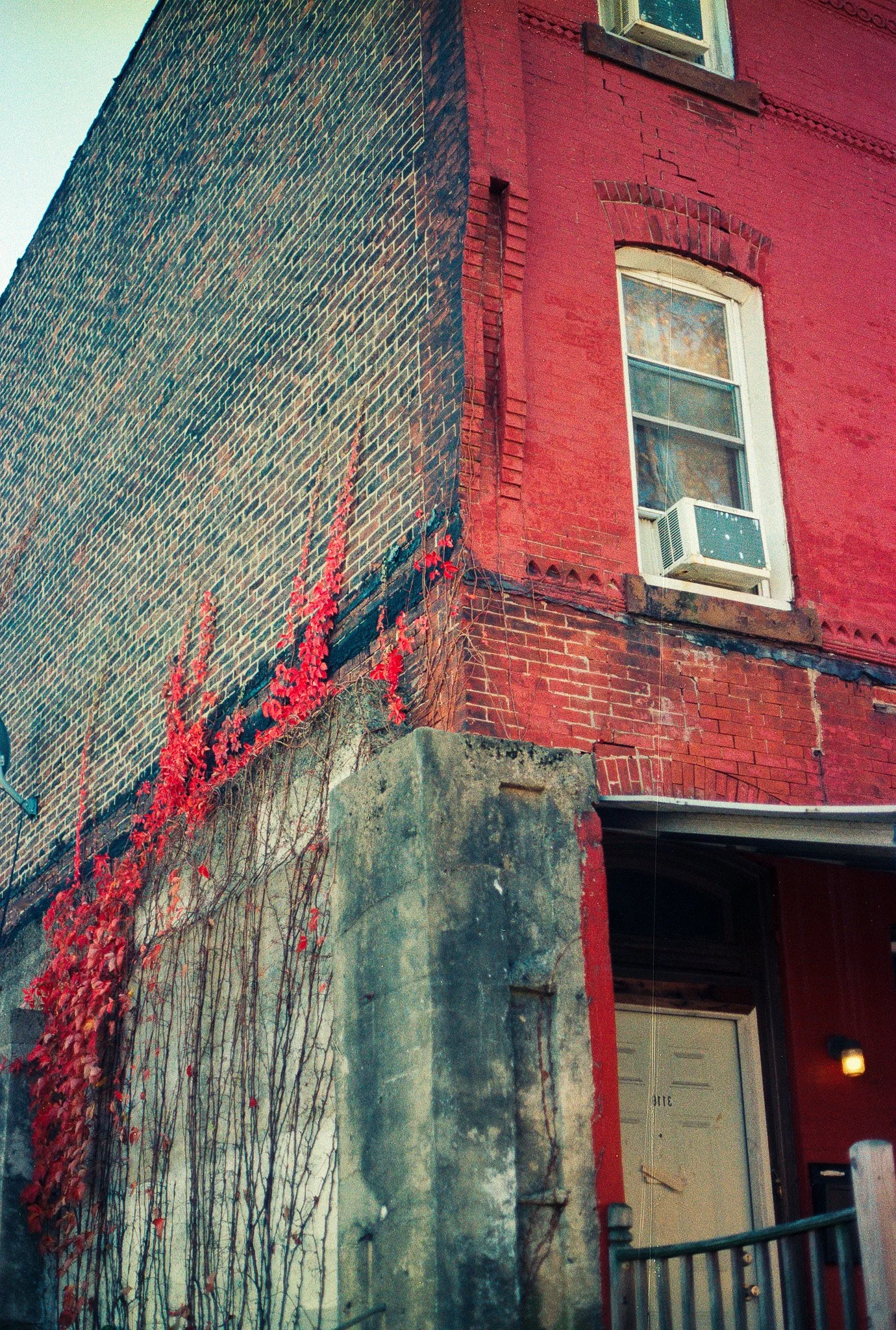 PHL_RANDOM1 (3)-2.jpg