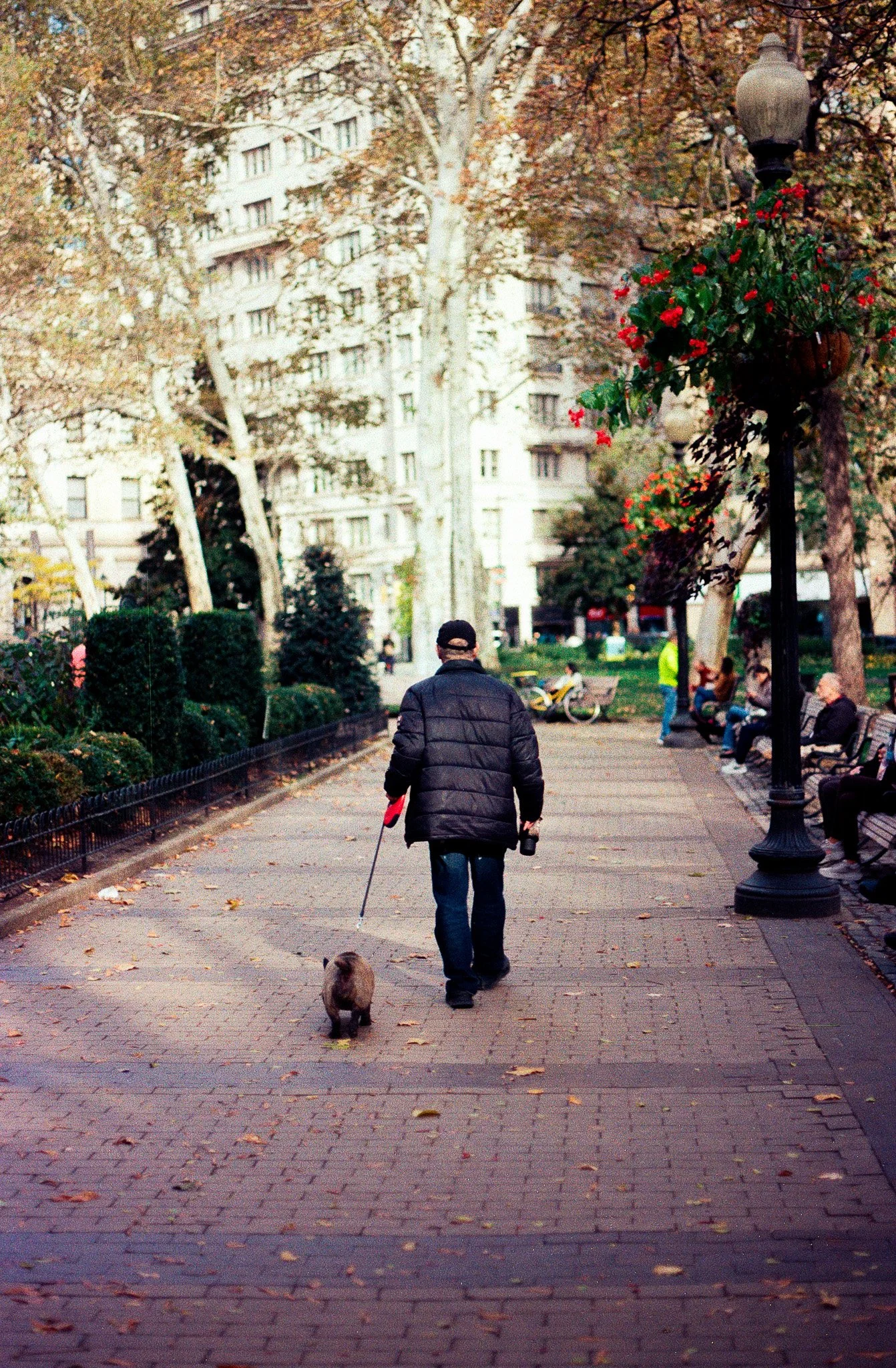 PHL_RANDOM1 (13).jpg