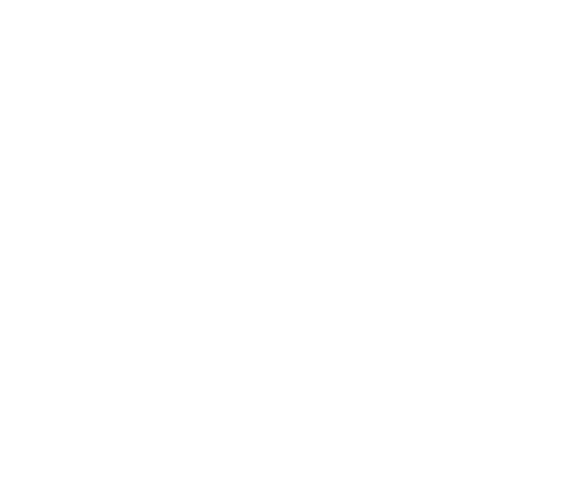experience design icon