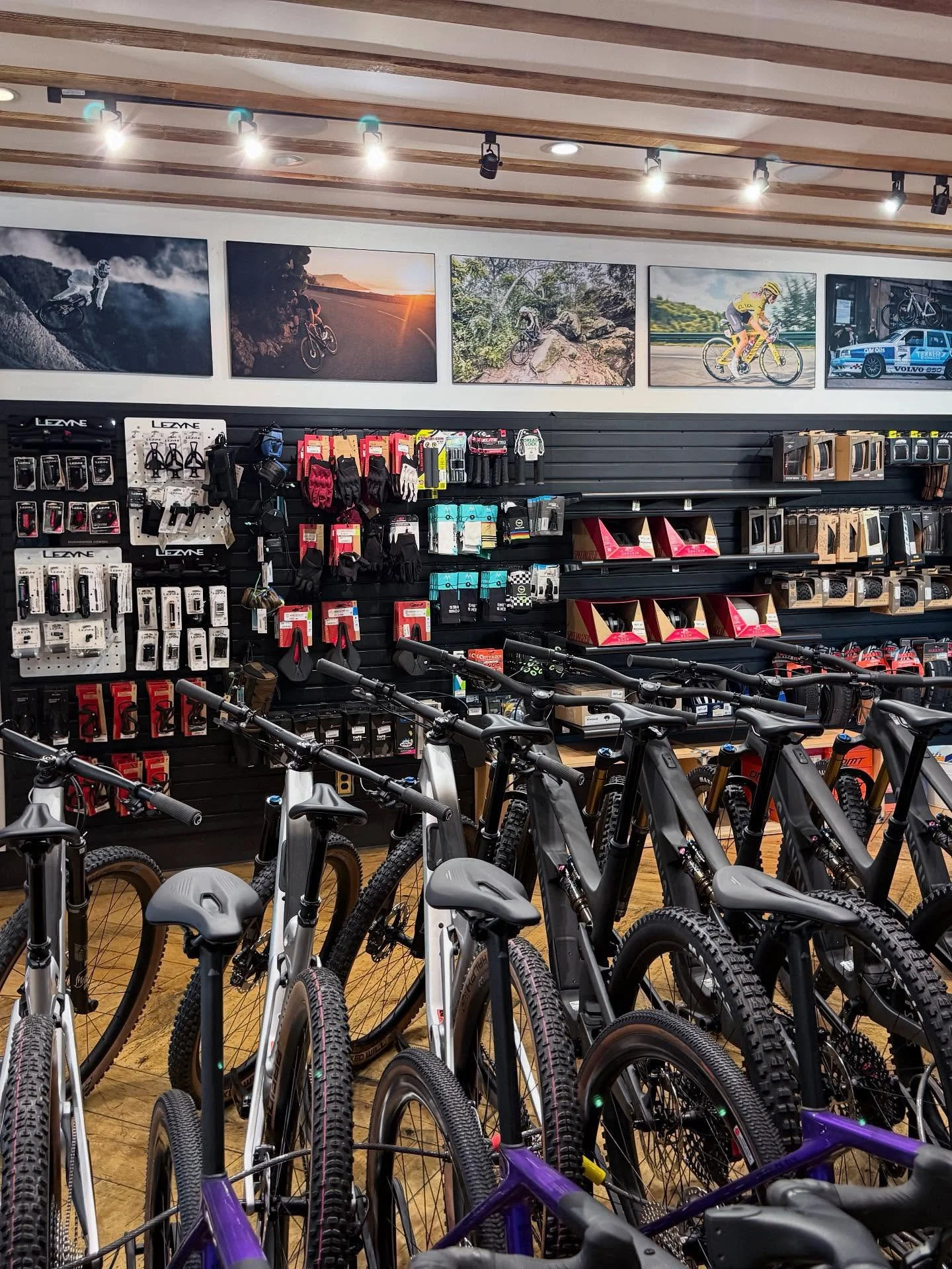 Custom interior signage and point of sale display. Indoor bicycle shop with a row of mountain bikes in the foreground and accessories on the back wall, with four framed cycling photographs on the wall above.
