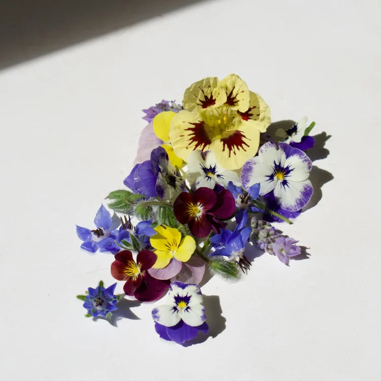 Edible flowers near me
