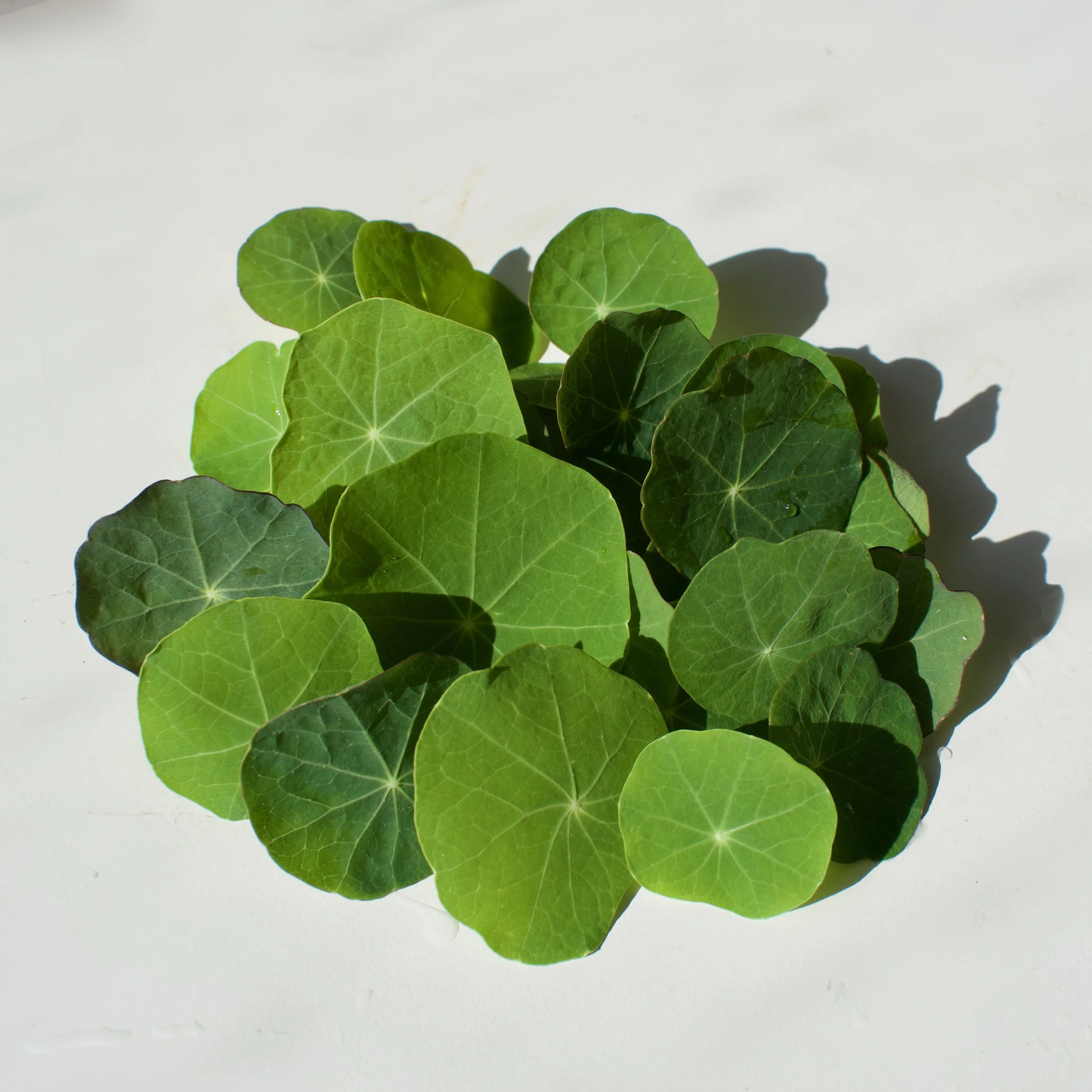 Leaf Mix