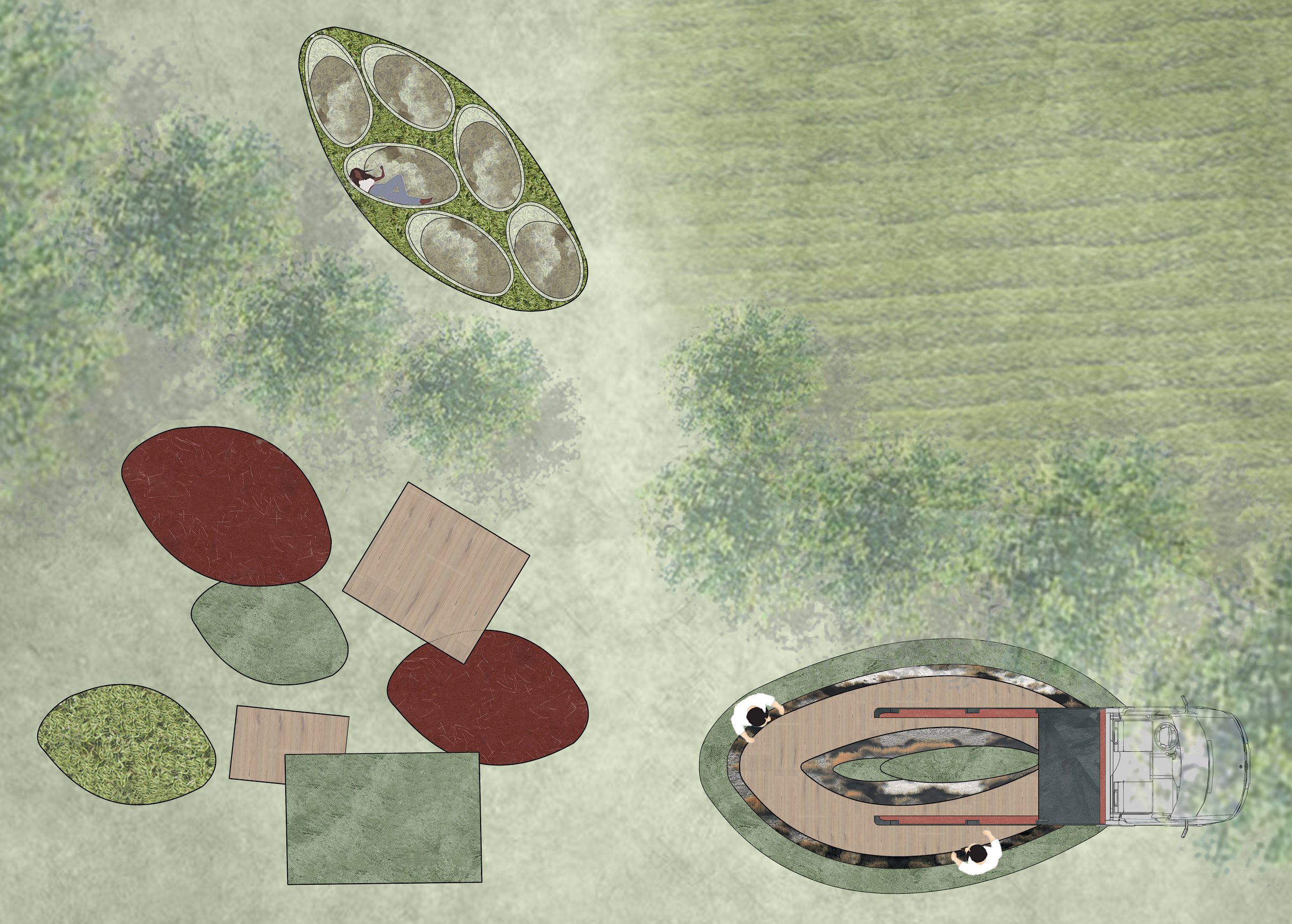 plan texture.jpg