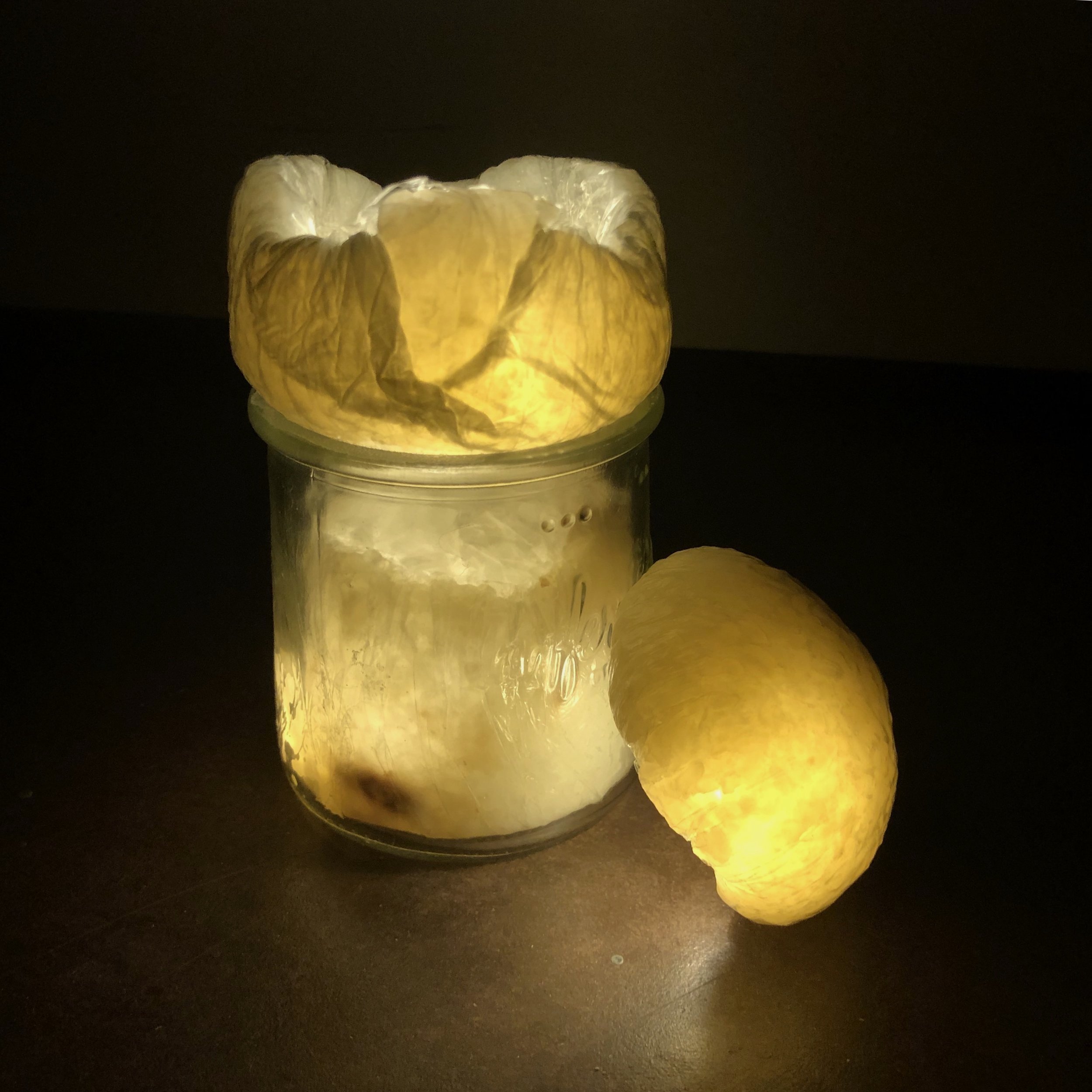 Rice Night Lamp