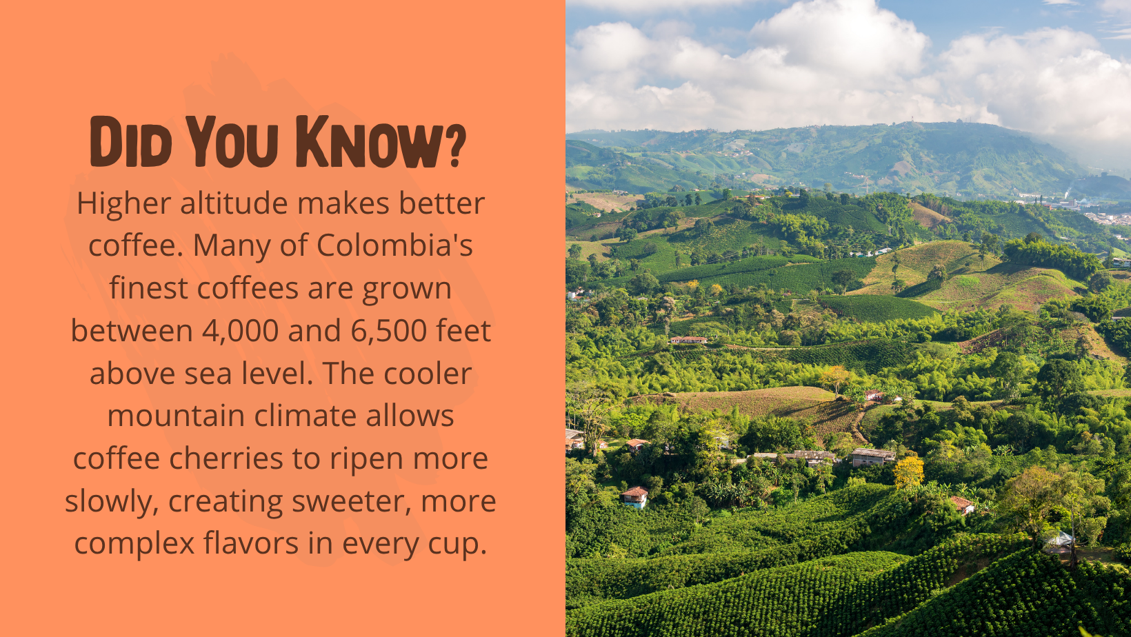 Did You Know (7).png