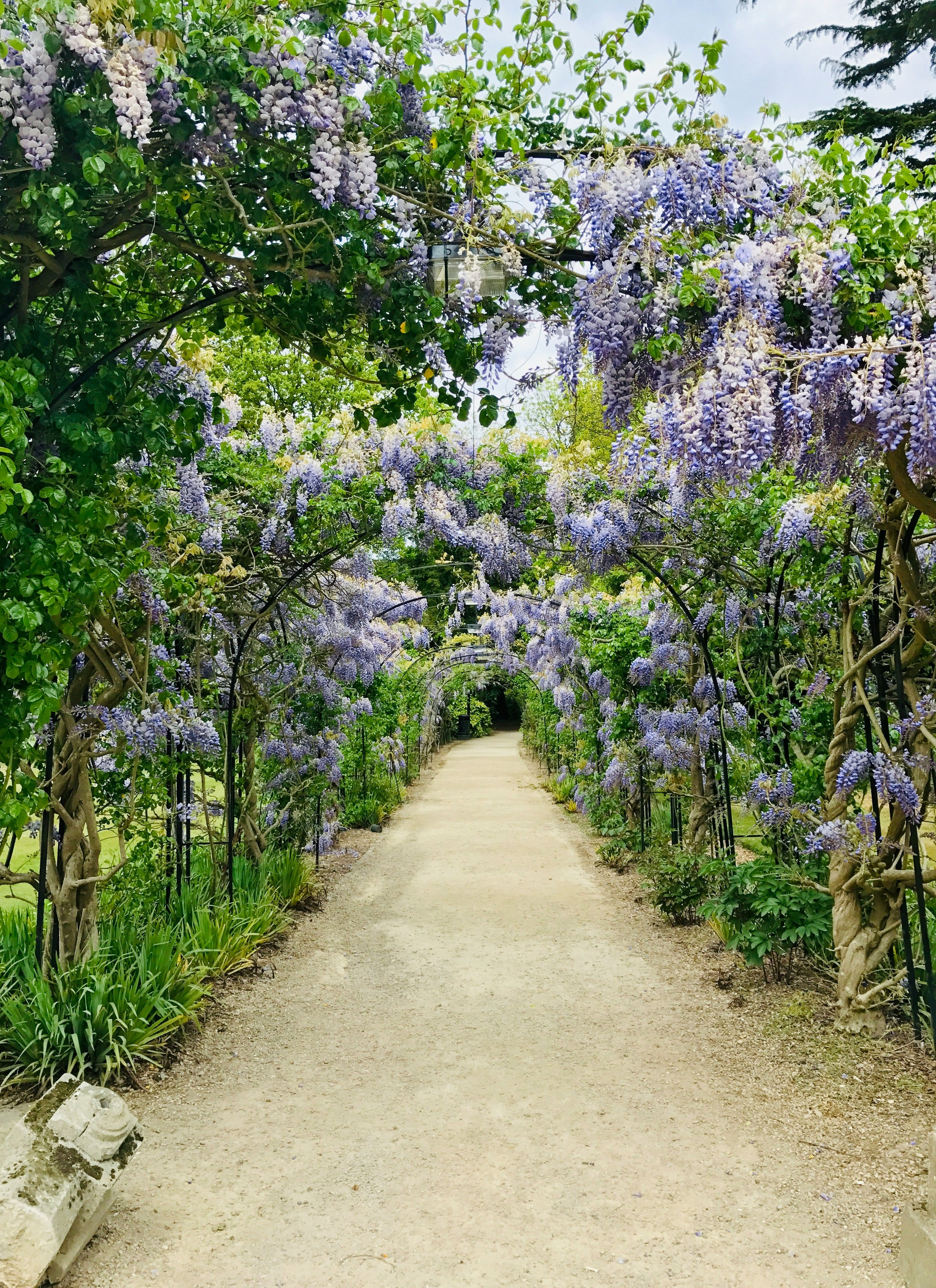 June: Cultivation, Gardens, Nourishment and Reciprocity, Heart