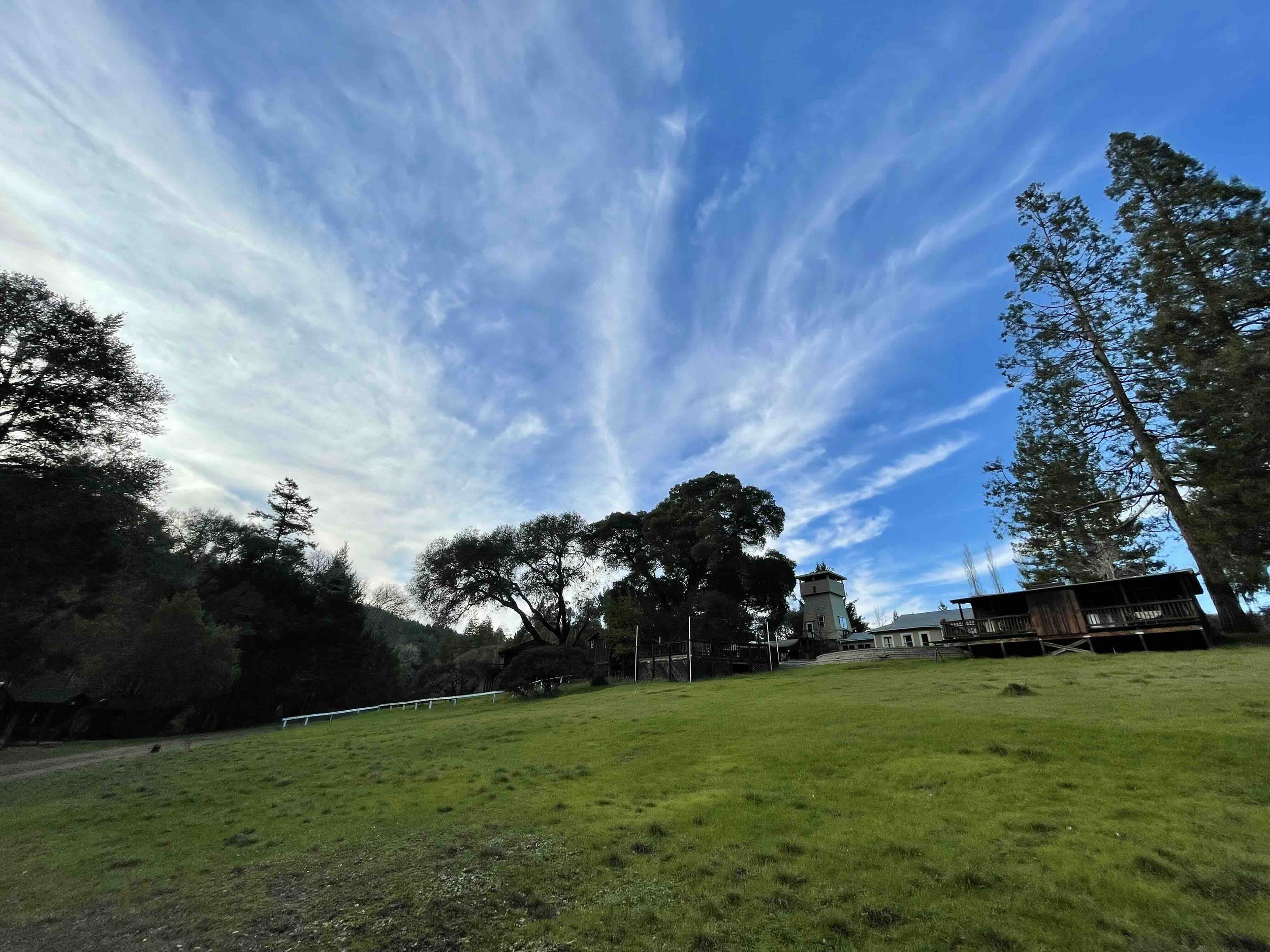 Medow view to Lawn Circle.jpeg