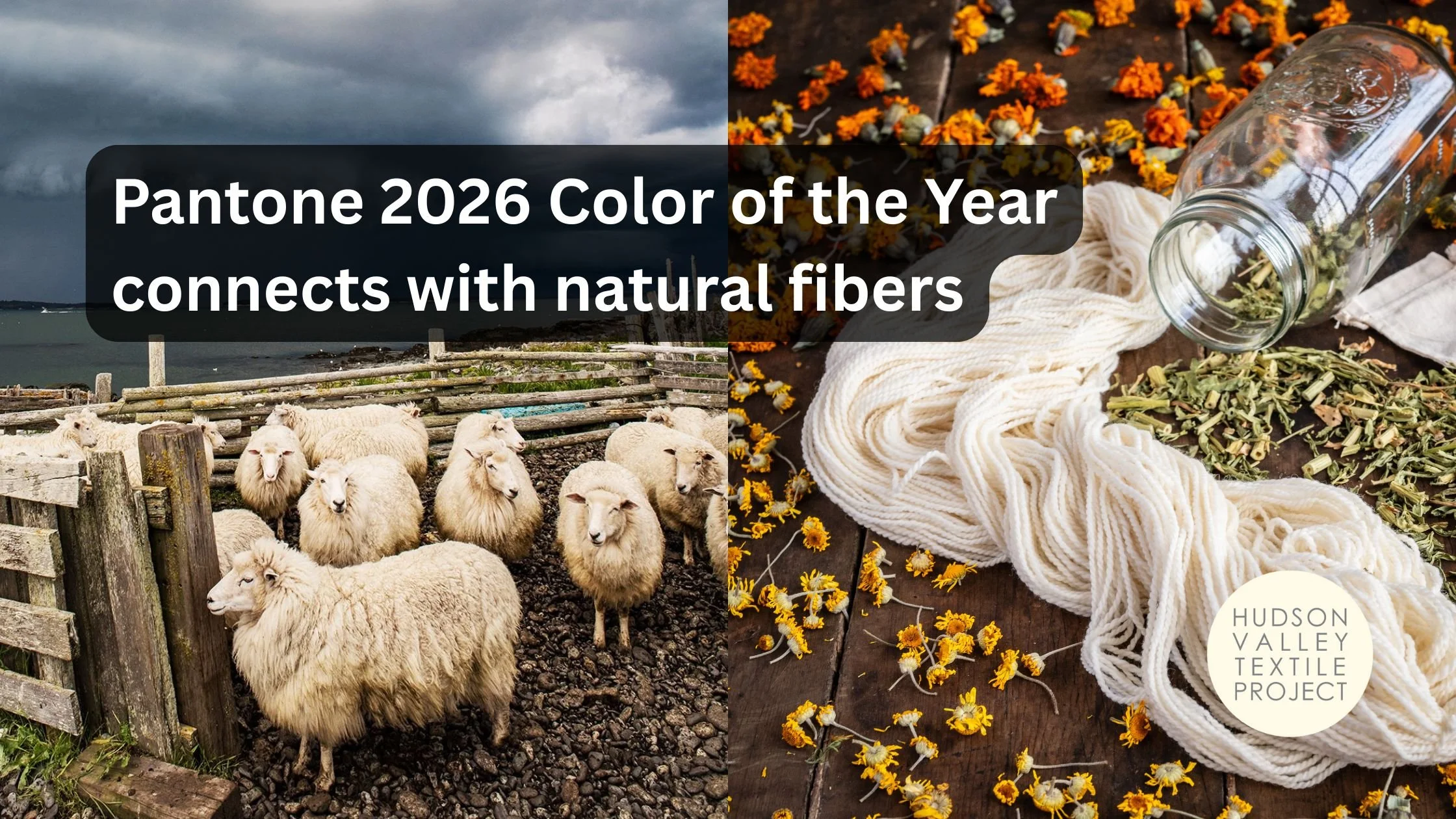 2026 Color of the Year connects with natural fibers
