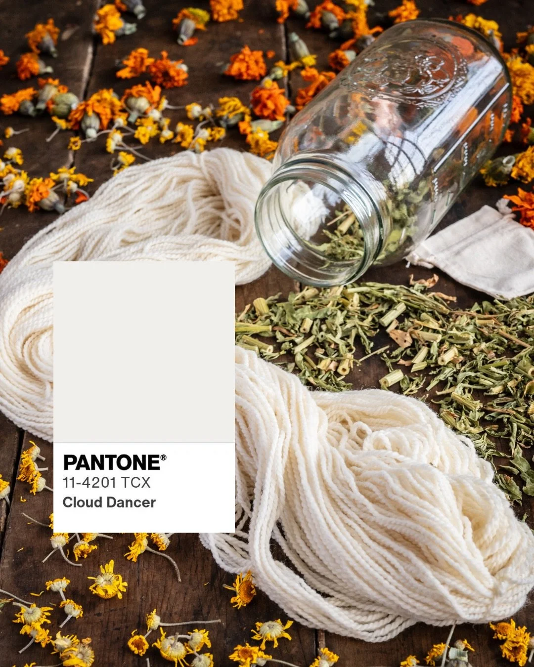 Cloud Dancer, Pantone&rsquo;s 2026 Color of the Year, feels like a love letter to natural fiber. 🤍

In our region, this soft, billowy white isn&rsquo;t a trend. It&rsquo;s what we see every day: creamy Romney, moorit Cormo, charcoal Shetland, lumino