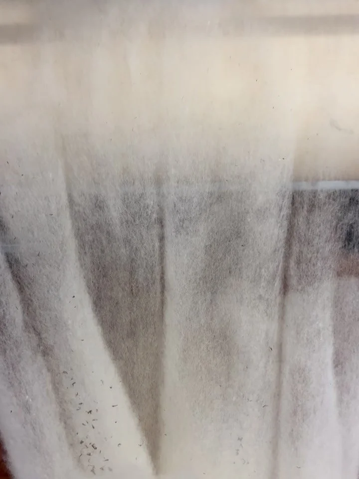 Update from NEFX on weight trials ✨

Shannon, Norah at @cleanfleece and MJ are currently running tests on our newly installed Ramella Carder, which is set up to produce batting on a batt drum. The end product is a 48&rdquo; W x 40&rdquo; L piece of b