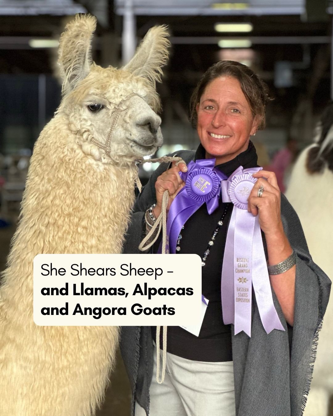 Have you tried working with llama fiber yet? 🦙

✂️🐑 Our monthly newsletter next week will feature a story about shearer Tabbethia Haubold. Spring shearing season is underway, and skilled shearers like Tabbethia are helping fiber farms care for shee