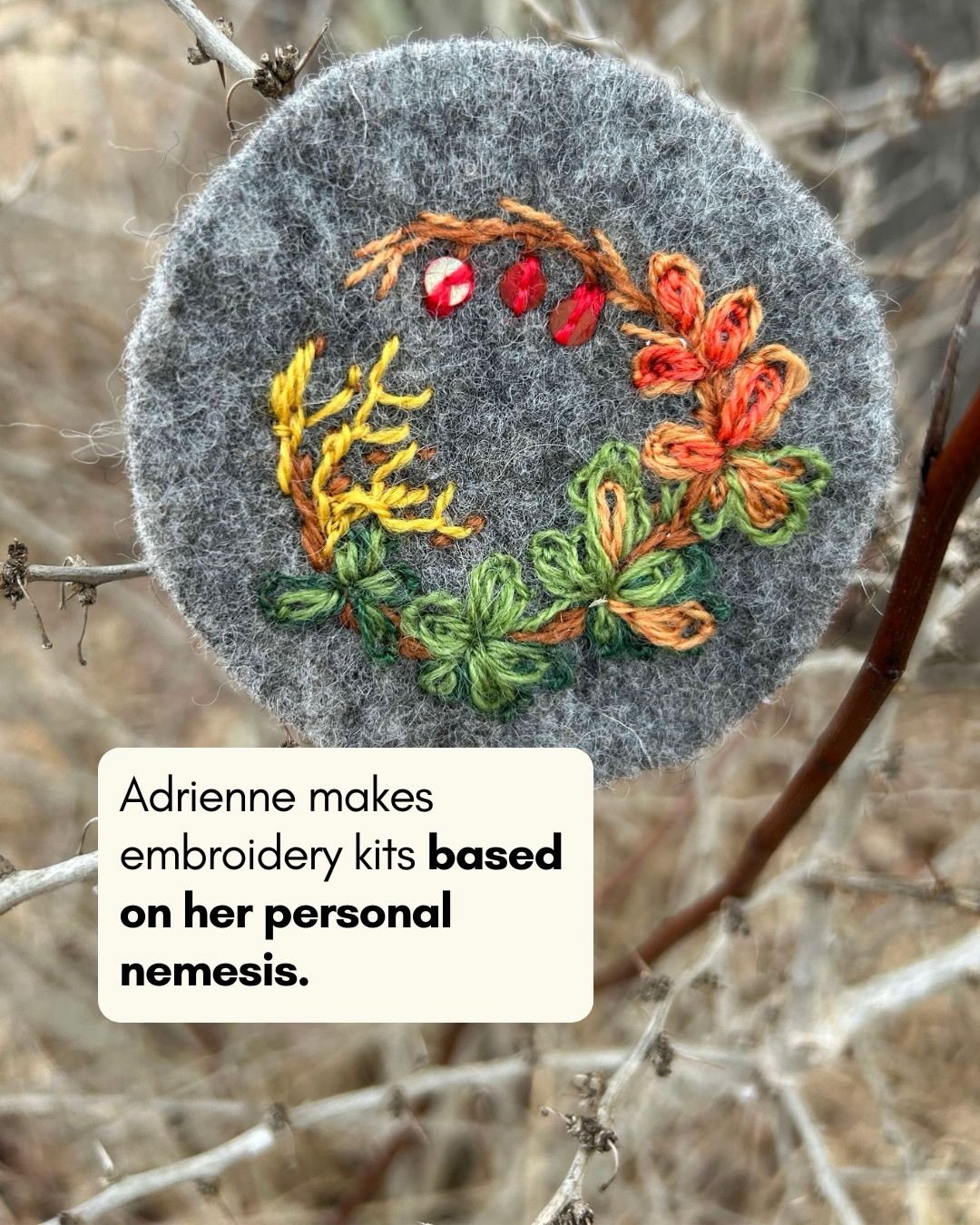 It&rsquo;s a labor of love and spite for Adrienne Carlile, founder of @flaxfiberfarm . 🌱&hearts;️

Adrienne hates invasive plants, especially Japanese barberry. But what she&rsquo;s realized is that this passionate hatred stems from a deep love of t