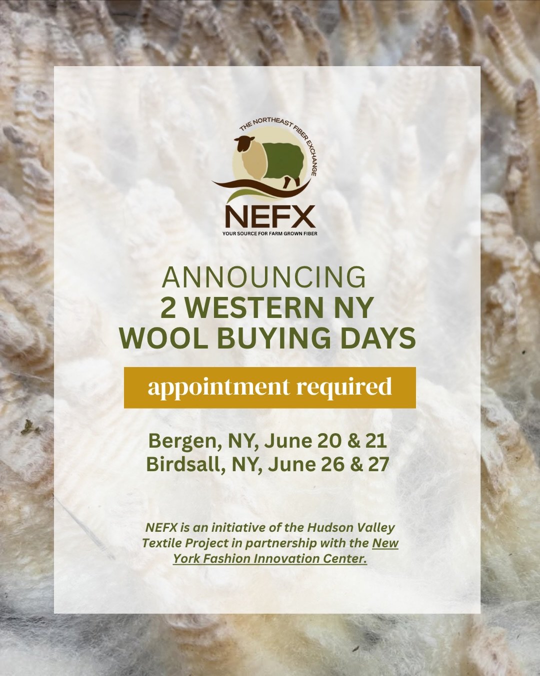 📍2 Western NY Wool Buying Days 🐑

The Northeast Fiber Exchange is announcing upcoming Wool Buying Days in western New York at two locations (exact locations will be provided after scheduling):

- Genesee County, Saturday 6/20 &amp; Sunday 6/21. Sch