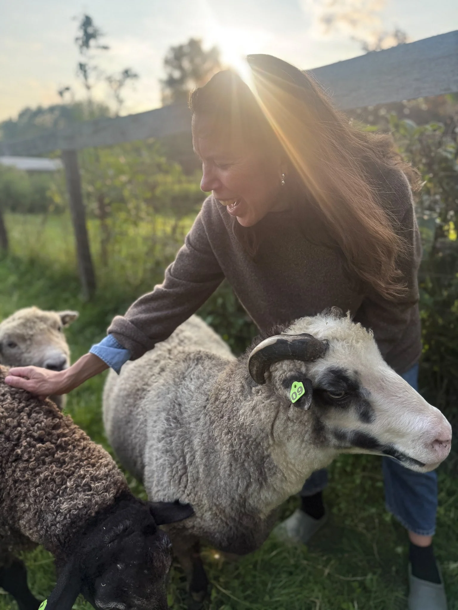 American wool sweater sustainably made in New York and Vermont.