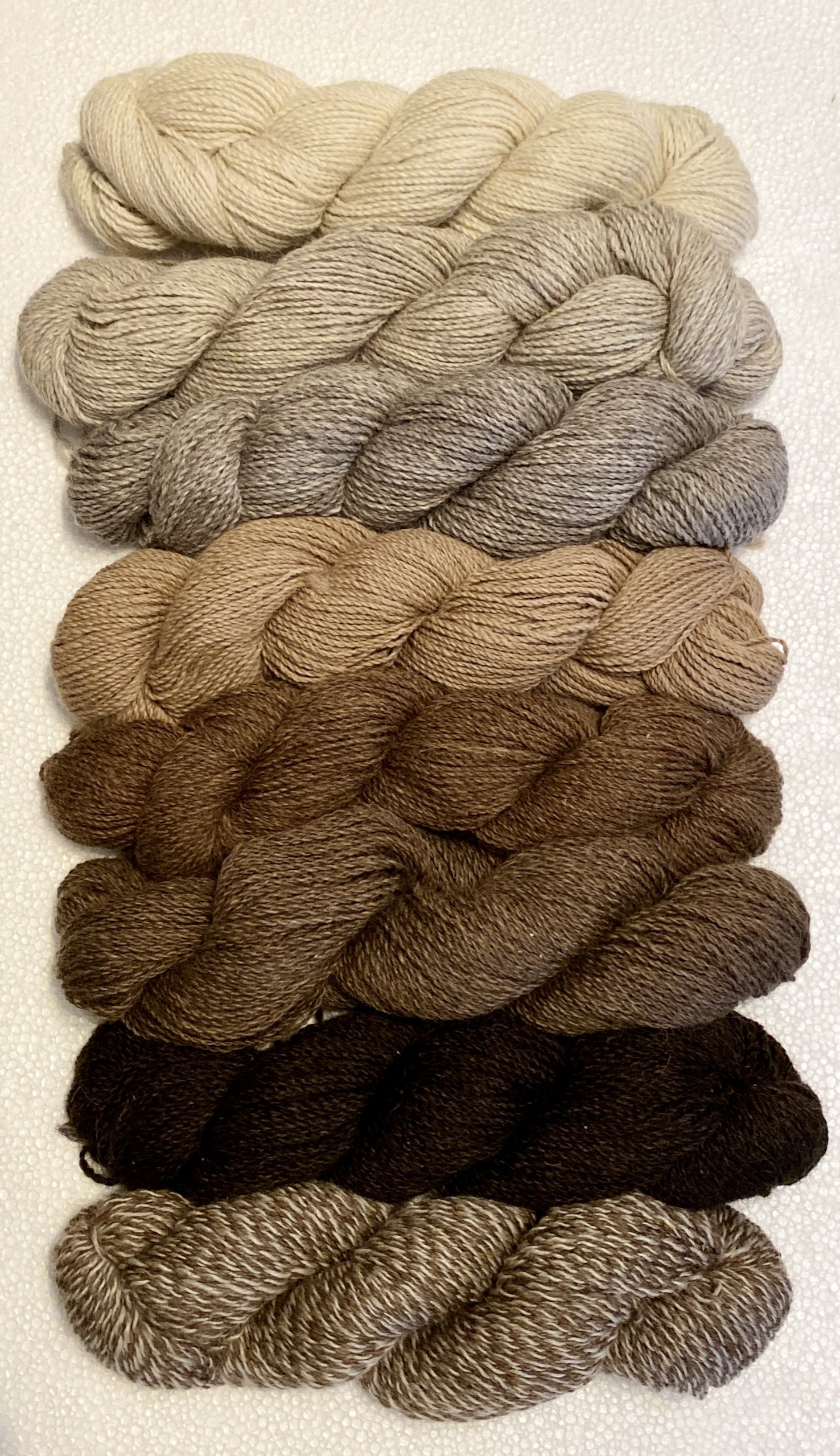 Clover Brooke Farm: Alpaca -Shetland Blended Yarn (50/50)