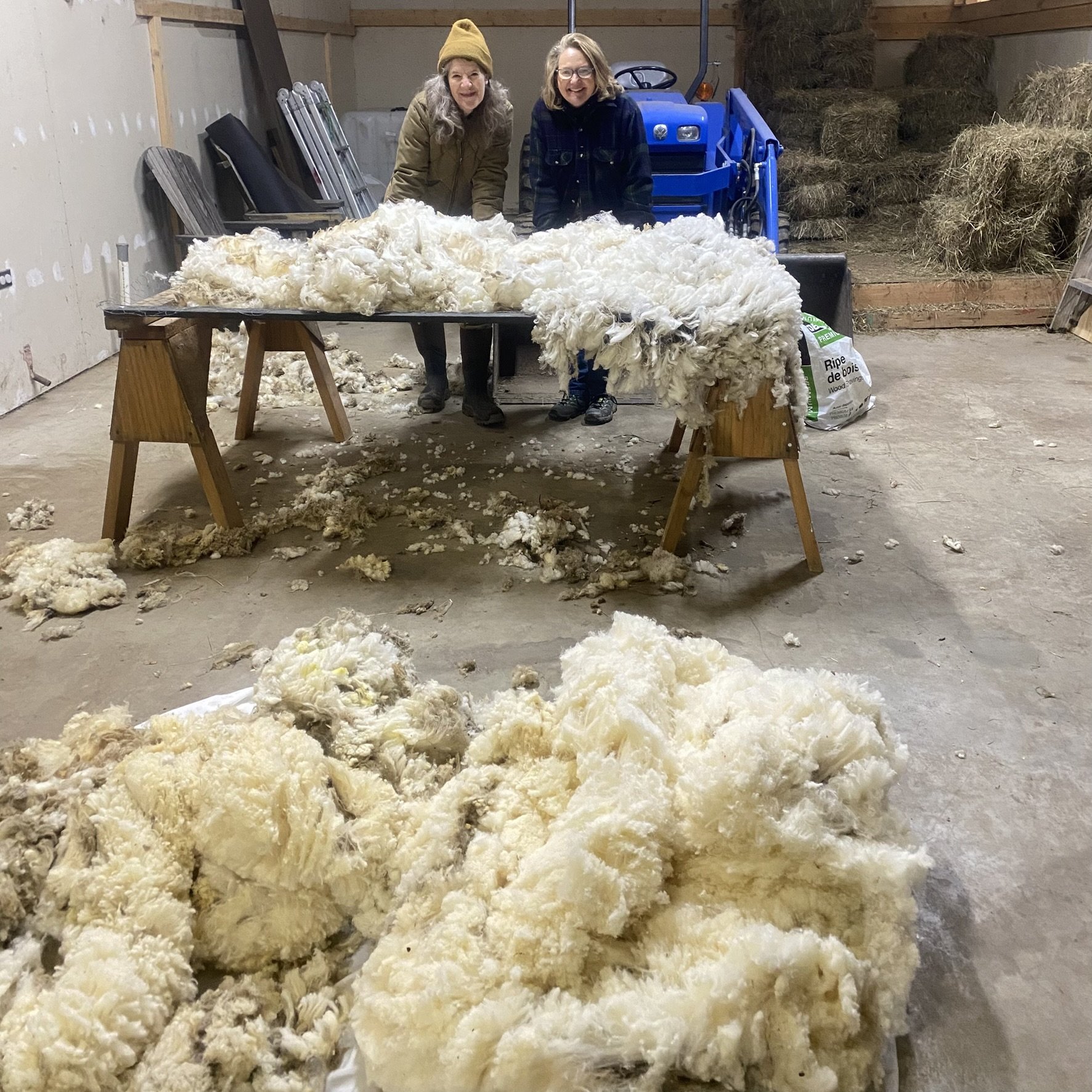 photo of Barb and Kris Sayre on shearing day