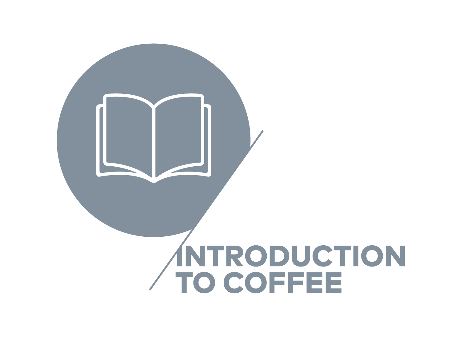 CSP icons v2 artwork Introduction _grey.png