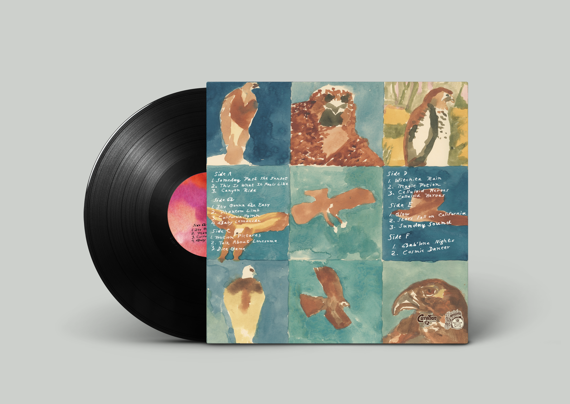 LHC-Vinyl Record MockUp Back.png
