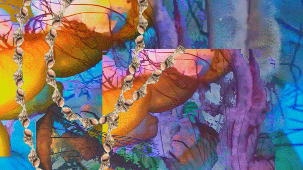 jellyshell.gif