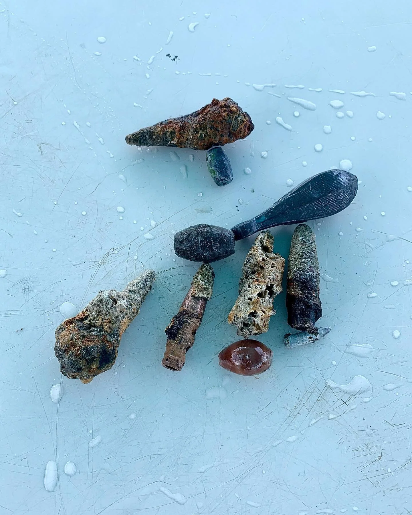 My inner archaeologist is all excited from finding *FIVE* WWII bullets at the SS Sapona shipwreck today 😁🕵🏼&zwj;♀️ It was an&hellip; .. accompSHIPment 🚢 
.
.
.
#underwaterarchaeology #wreckdiving #scuba #diving #bimini #bahamas #sharks #goprohero
